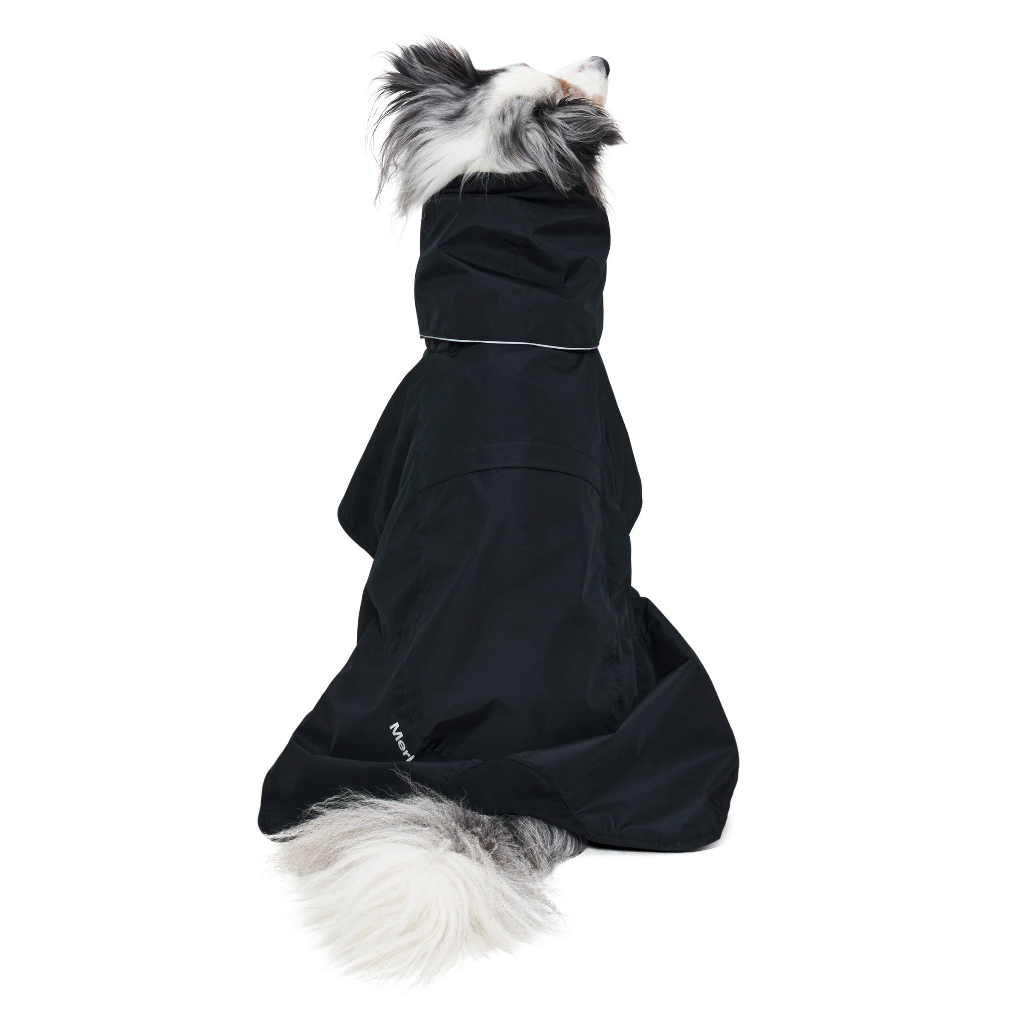 Rear view of a dog sitting down facing away, showing the complete back length coverage, tail clearance, and clean minimalist design of the black Merlot Ain™ waterproof coat.