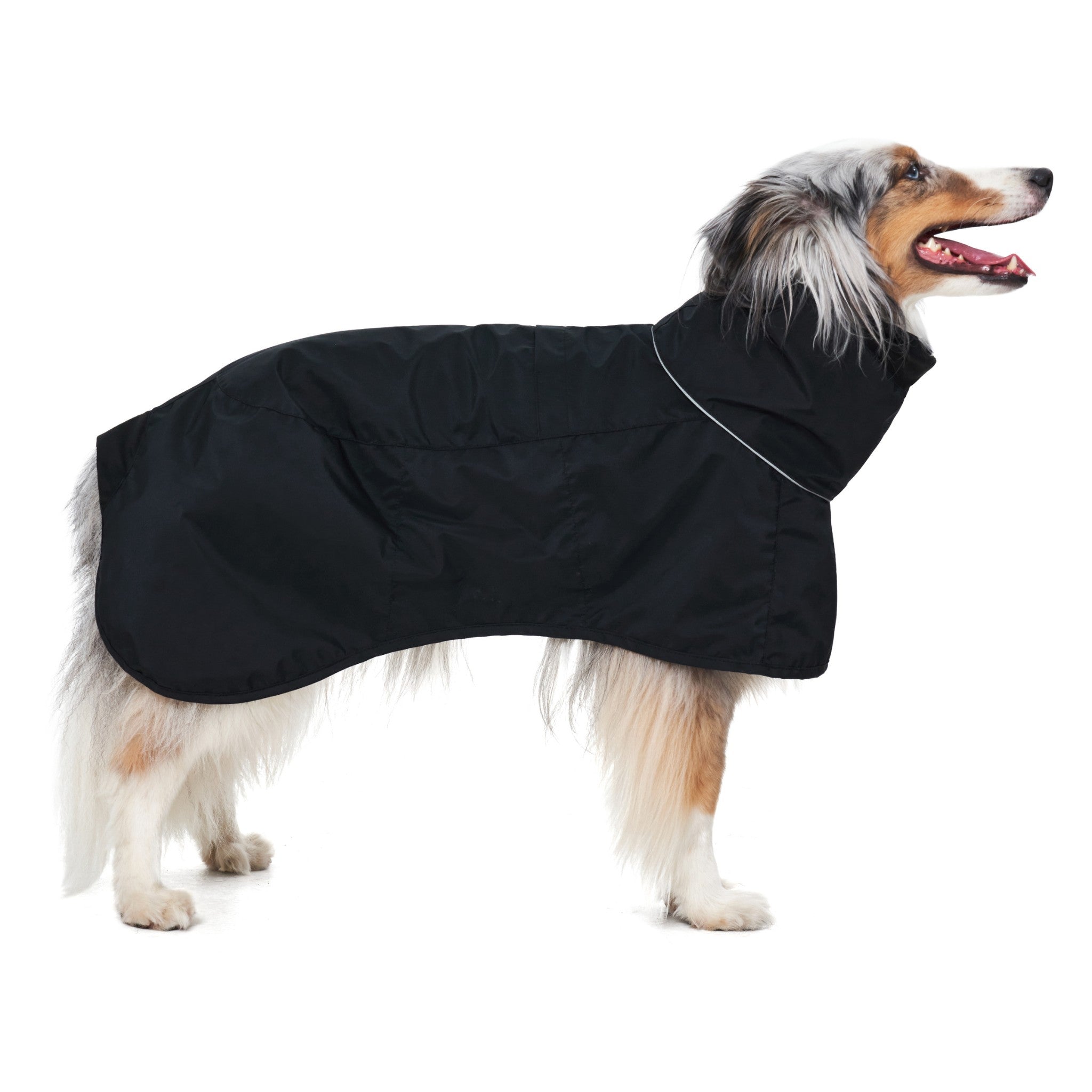 Full side profile view of a dog standing against a white backdrop, demonstrating the streamlined body coverage, curved hemline, and sleek fit of the black Merlot Ain™ dog raincoat.