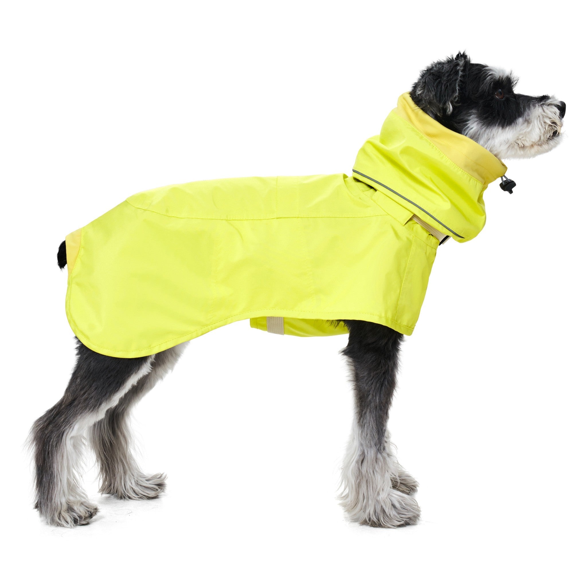 A crisp studio side profile of a standing dog modeling the lemon yellow Merlot Ain™ protective rain suit, highlighting the clean fit around the underbelly and legs.