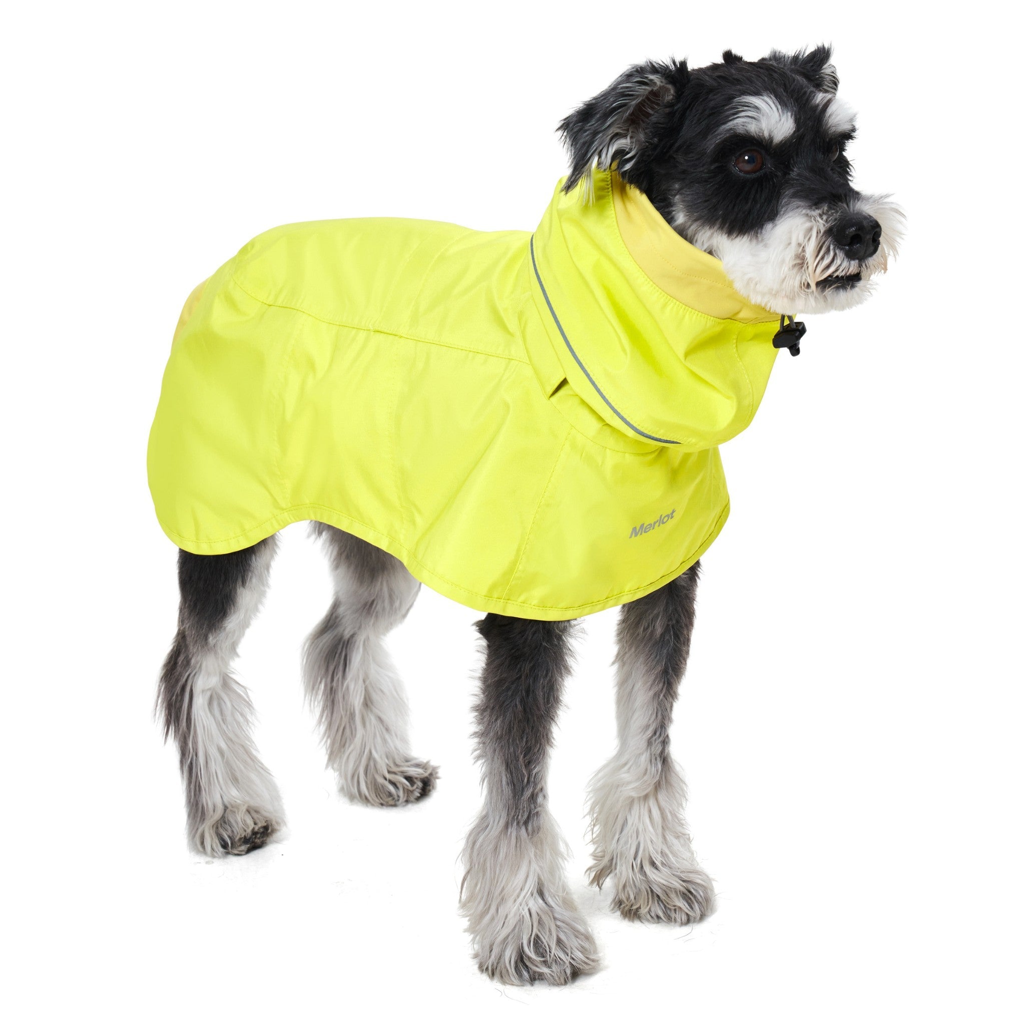 Full side view of a black and white dog standing in the vibrant neon lemon yellow Merlot Ain™ waterproof raincoat, showcasing full-body coverage and a curved rear hem.