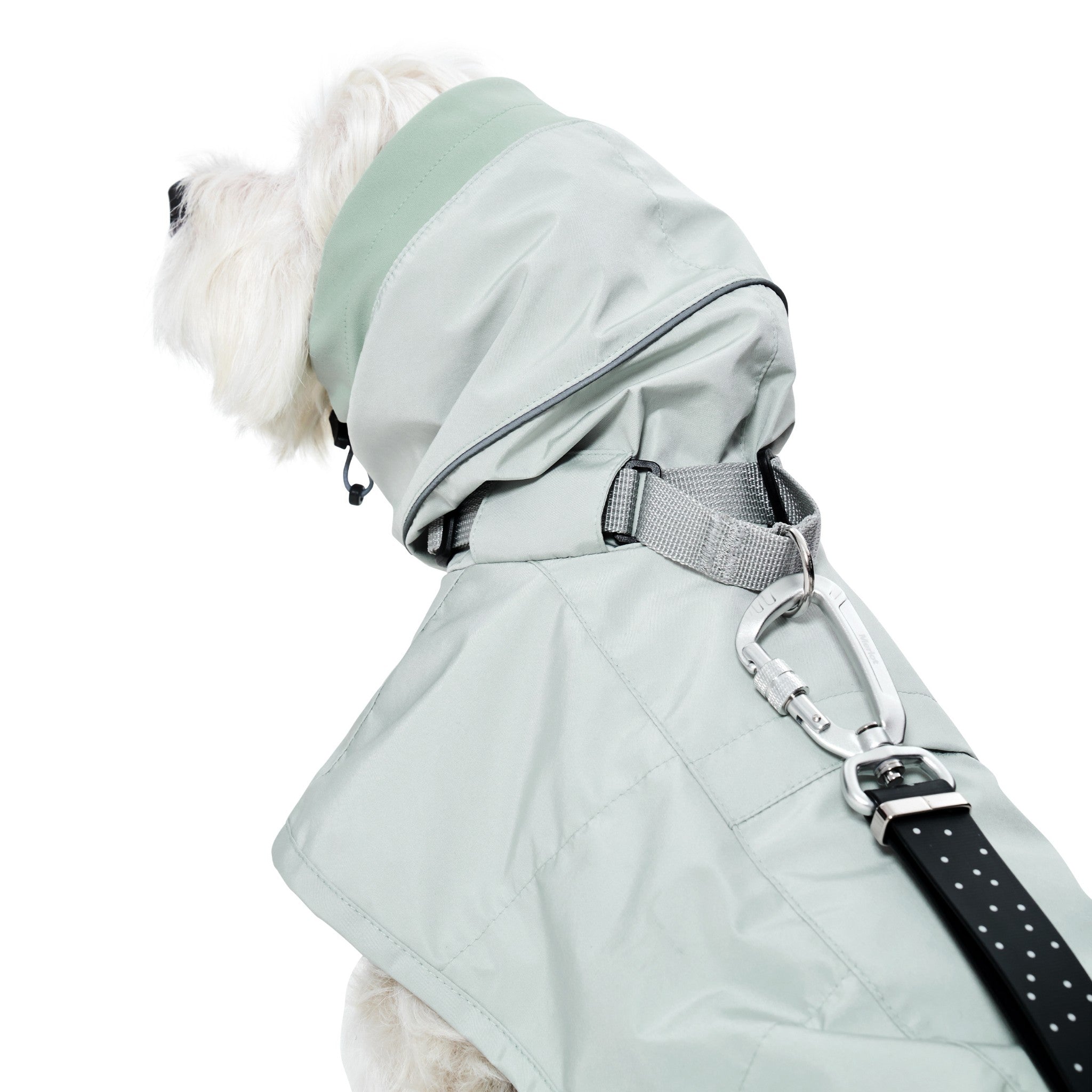 Rear three-quarter view of a dog modeling the lime stone raincoat, detailing the integrated grey fabric handle and a silver safety carabiner clipped to a black patterned leash.