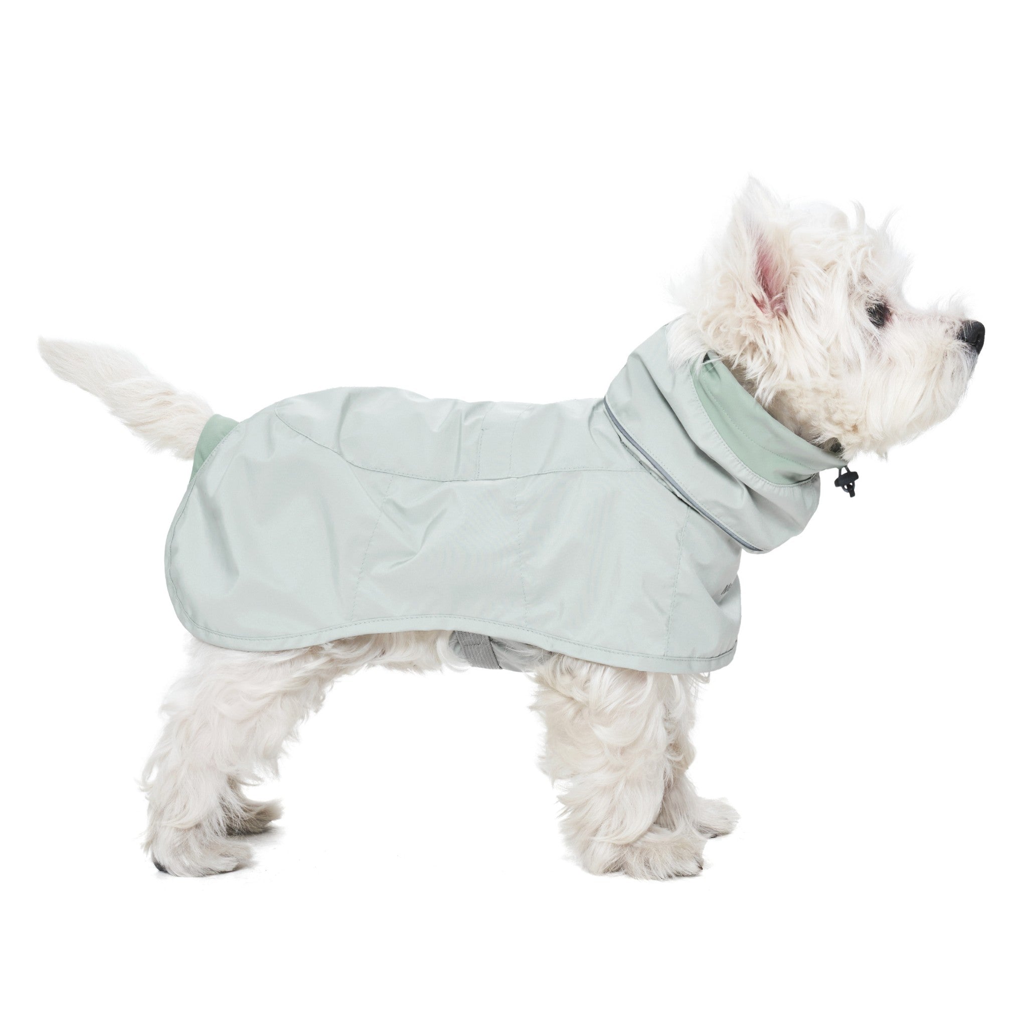 A pristine studio side profile of a white dog standing in the full-coverage lime stone Merlot Ain™ waterproof coat, highlighting its streamlined underbelly fit and rear leg openings.
