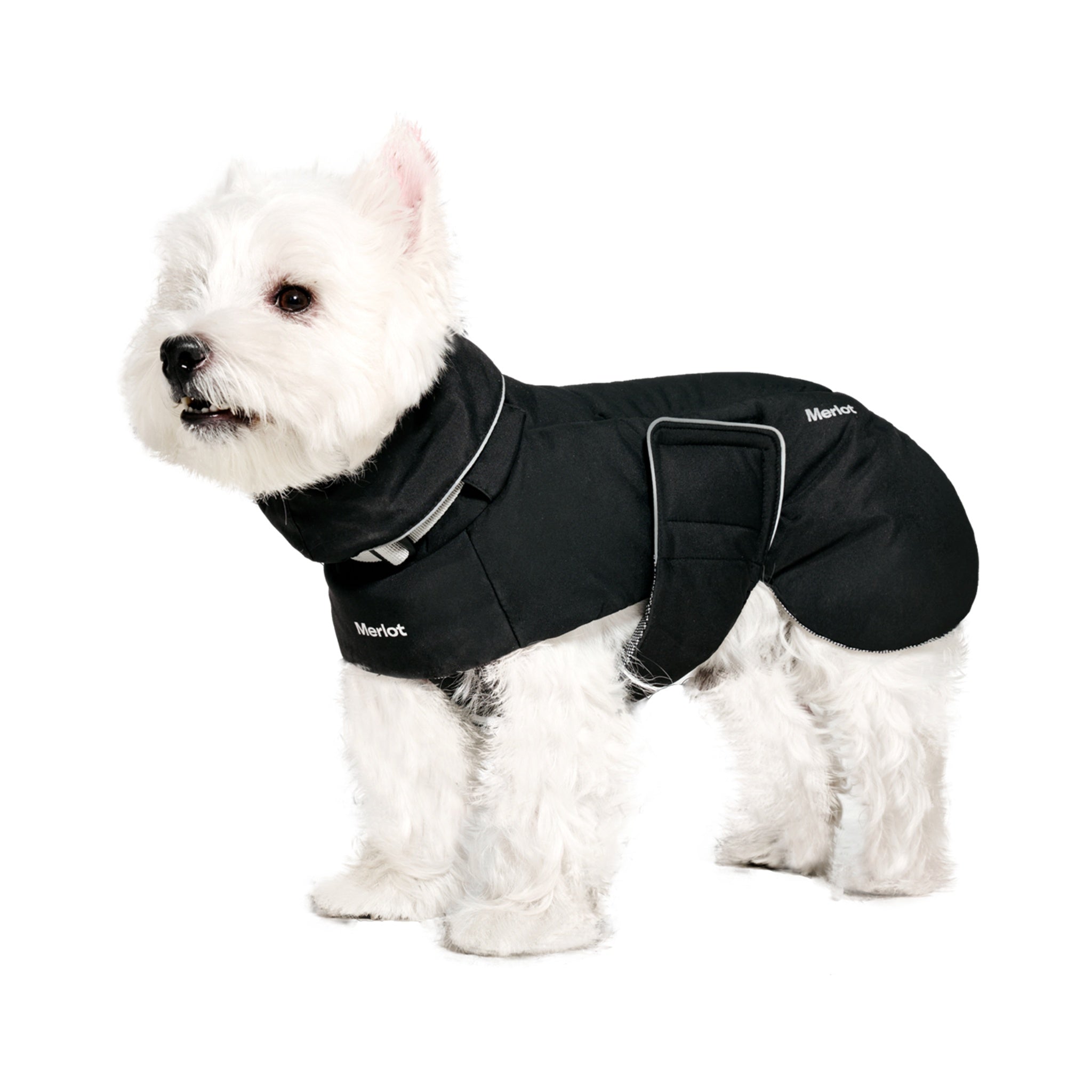 A white Westie standing in full side profile against a white background, highlighting the cozy high neck collar and tailored fit of the black Merlot dog puffer jacket.