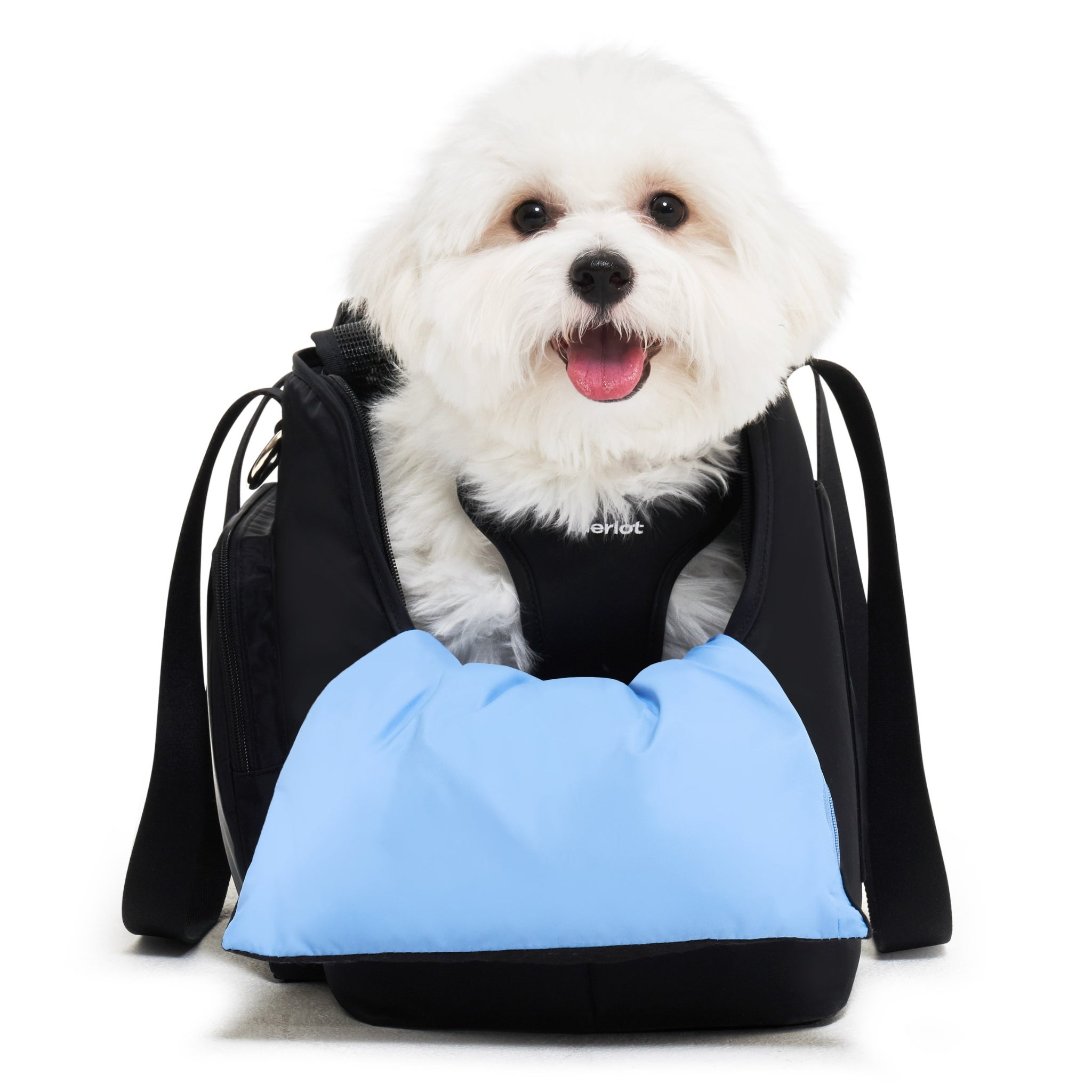 Direct front view of a happy white Maltese dog sitting inside the black Merlot Mermer carrier bag, resting comfortably behind a contrasting light blue protective Mermer™ cushion.