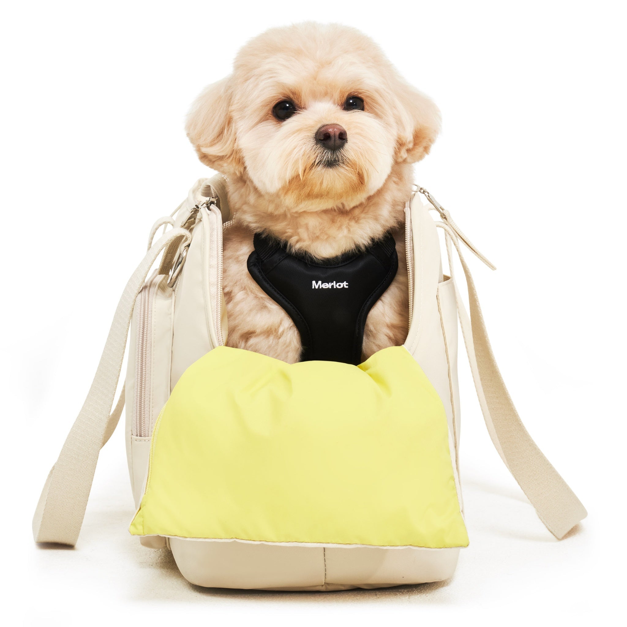 Direct front view of a small cream-colored dog sitting inside the structured lemon cream Merlot Mermer pet carrier bag, resting its chest against the soft yellow interior cushion insert.