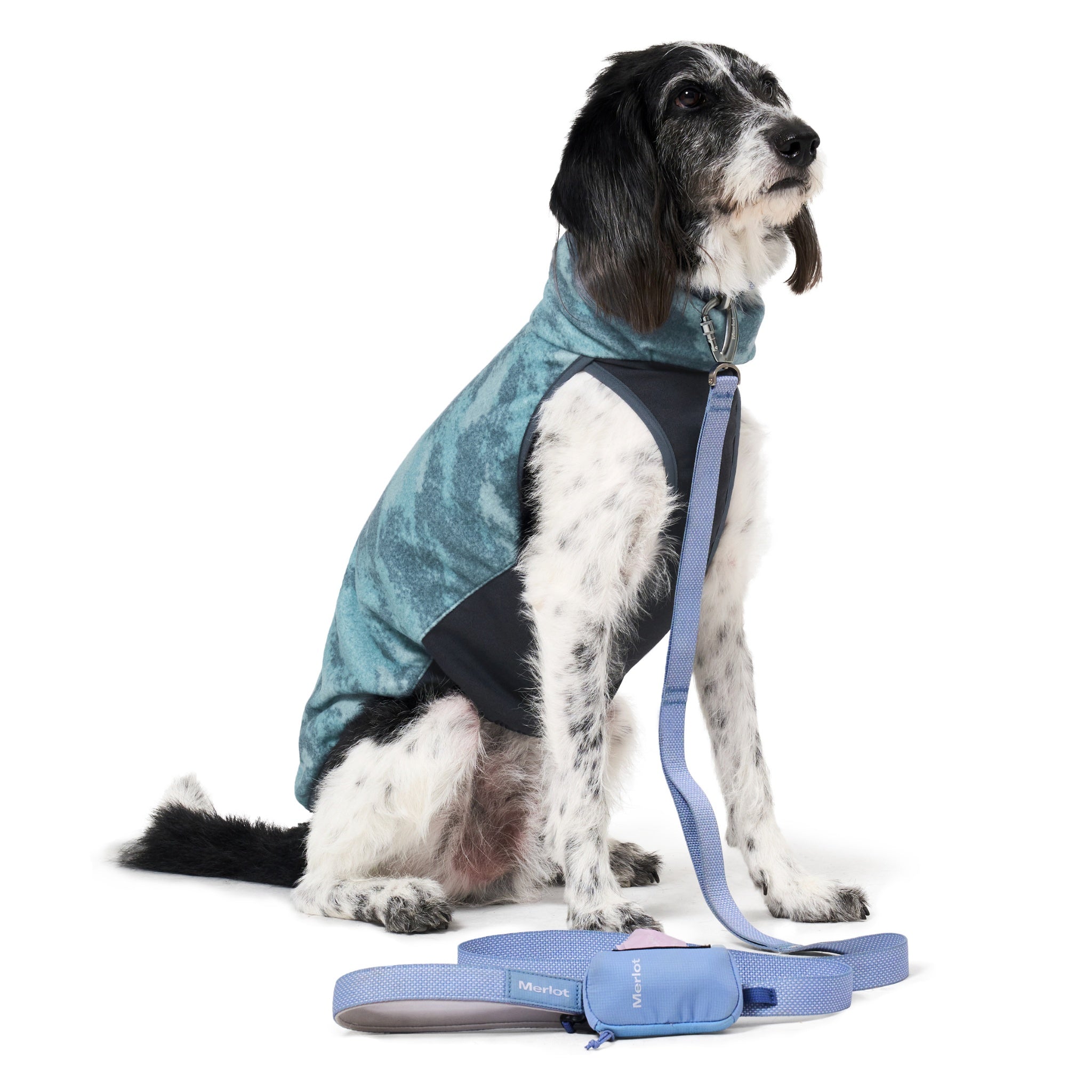 Side view of a black and white speckled dog sitting down next to a matching blue leash and matching gear pouch, showcasing the snug dark grey chest panel of the forest fleece pet jacket.