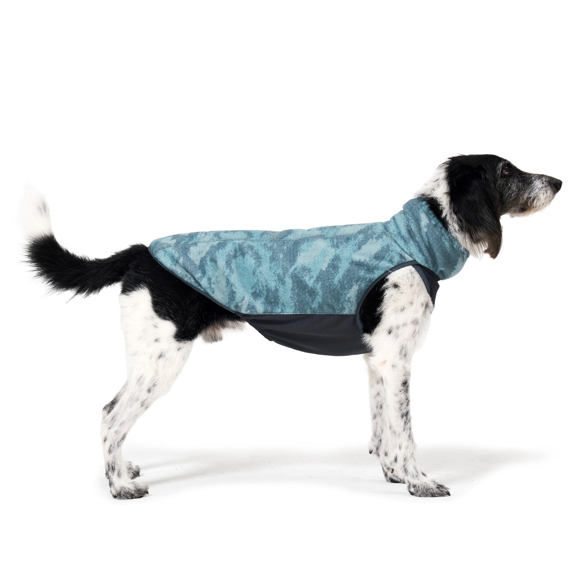 Full side profile of a black and white medium-sized dog standing against a white backdrop, showing the full-body contours and distinct dual-fabric layout of the forest printed Merlot dog coat.