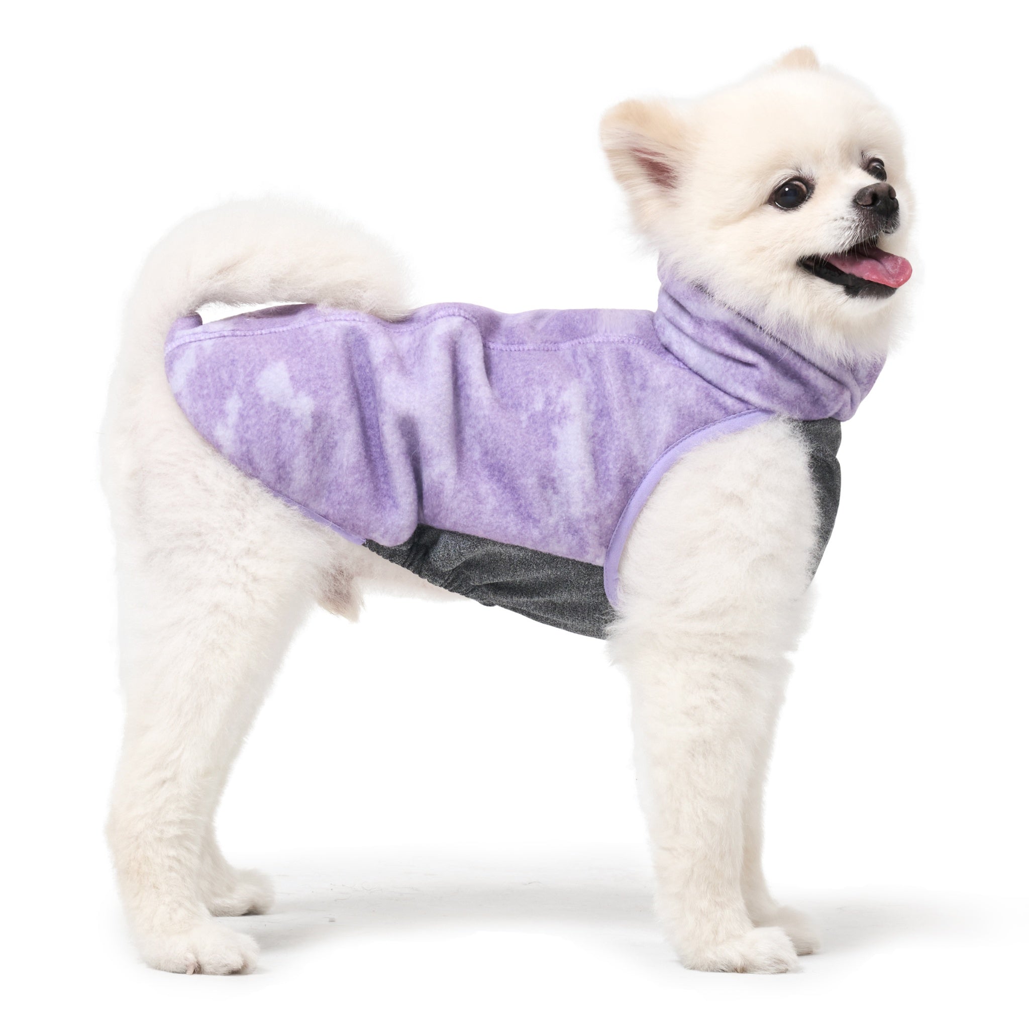 Full side profile of a white Pomeranian standing against a clean white backdrop, modeling the purple cloud-pattern fleece Merlot Shelter dog coat with an athletic grey underbelly panel.