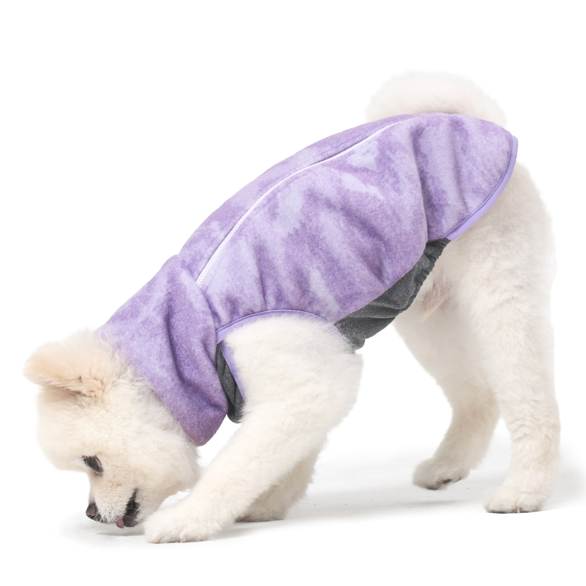 A white Pomeranian lowering its front legs in a playful stretch pose while wearing the flexible, insulated purple tie-dye Merlot Shelter dog jacket.