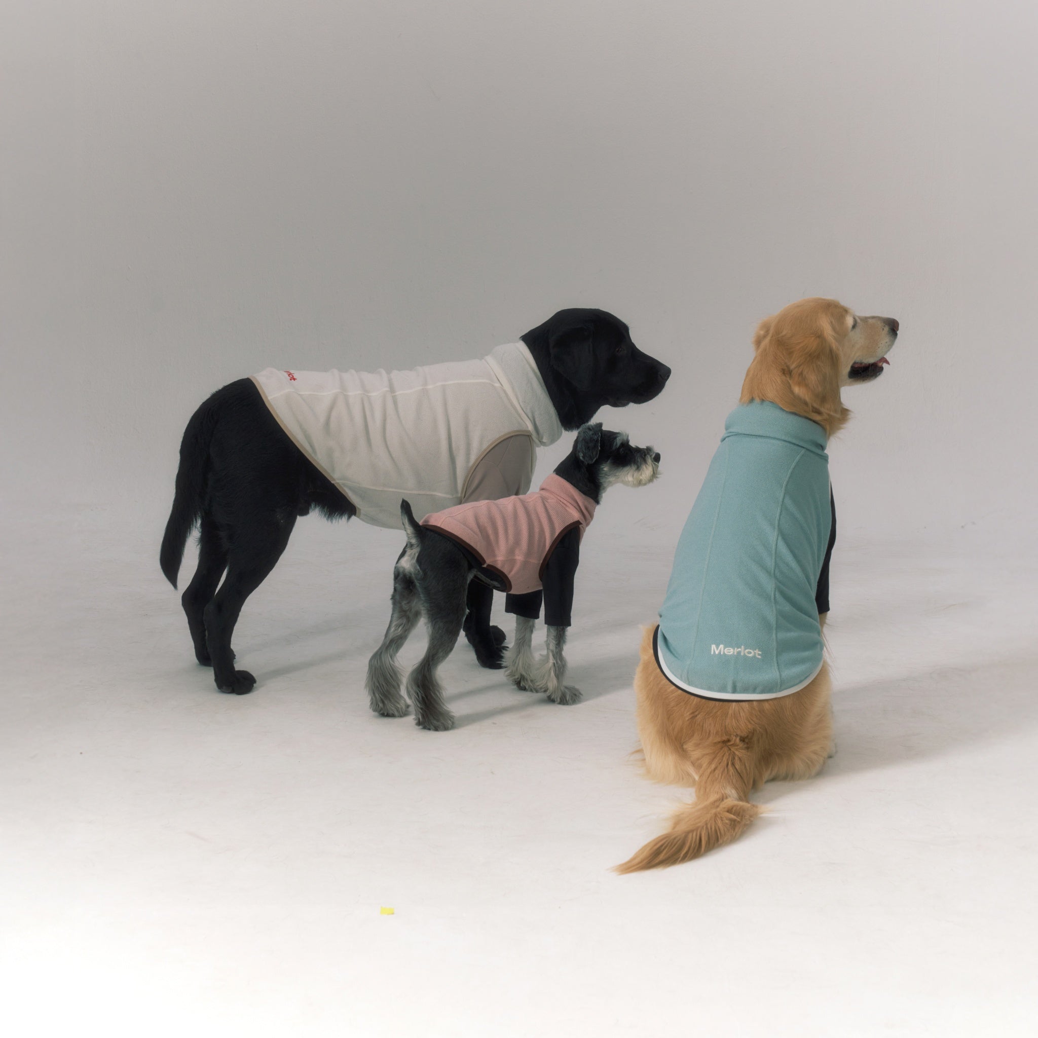 Three dogs of different breeds—a black Labrador in ivory, a miniature Schnauzer in pink, and a Golden Retriever in mint green—sitting and standing together in a studio to showcase the Merlot Shelter Layer jacket color collection.