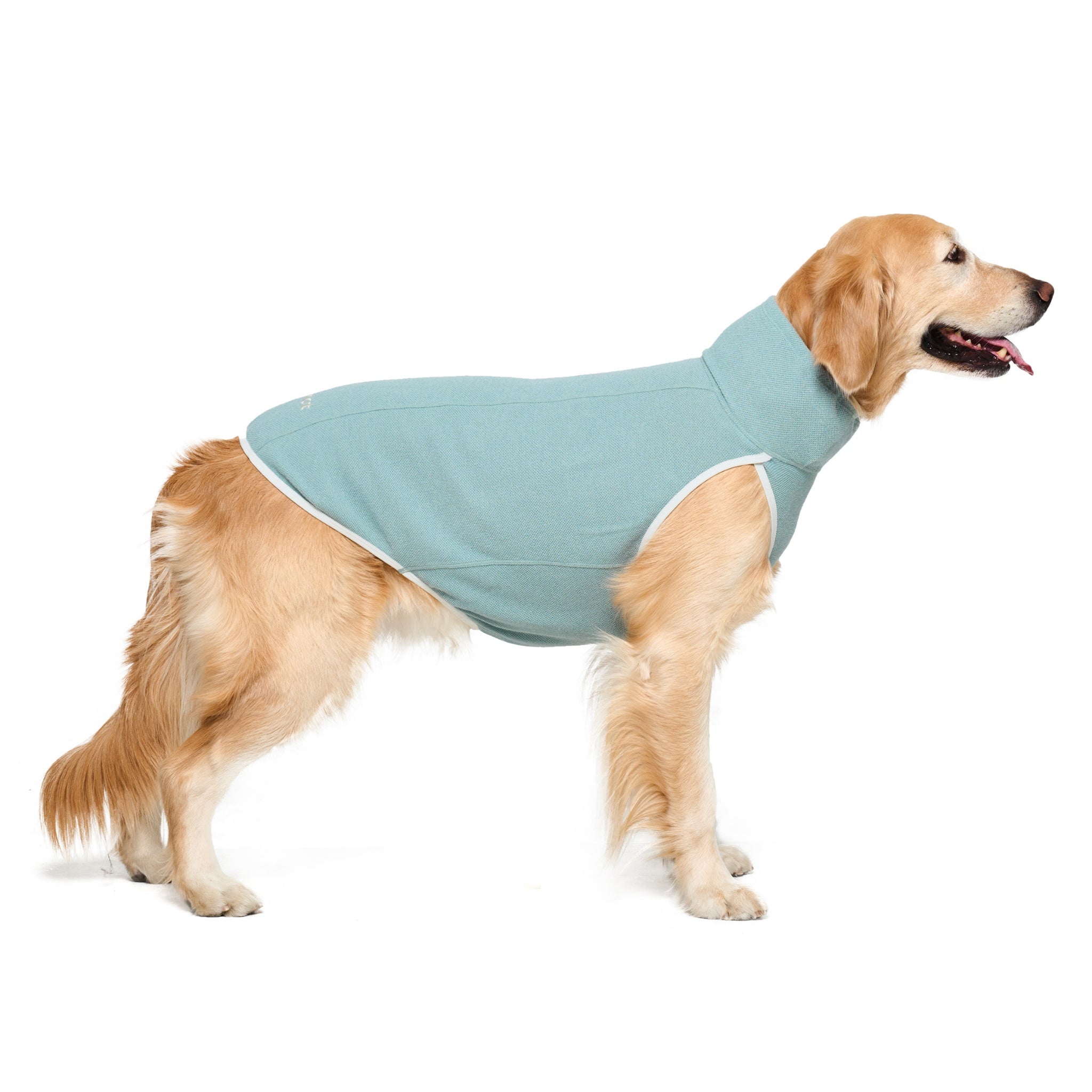 Full side profile shot of a Golden Retriever standing against a white backdrop, wearing the mint green Merlot Shelter Layer dog vest with white piping edges.