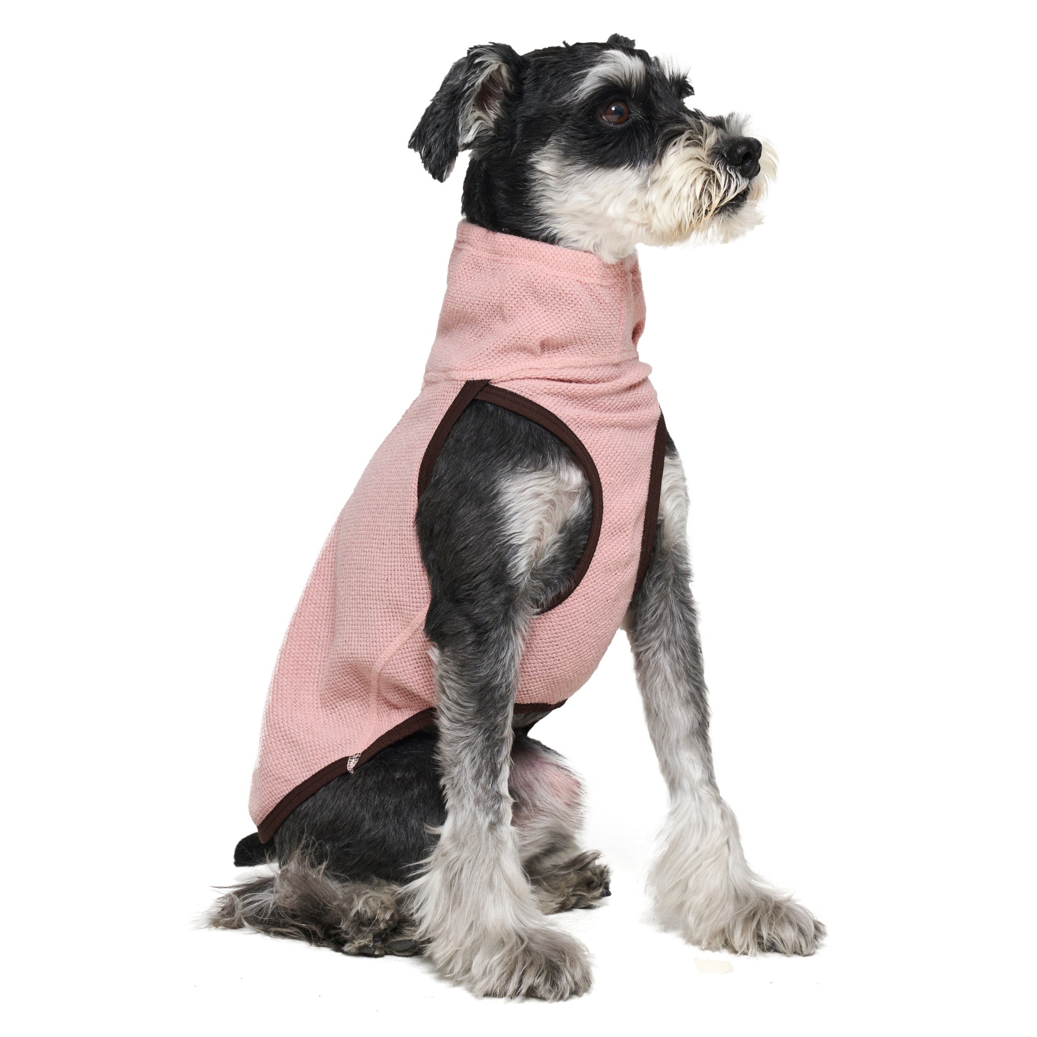 Side view of a Miniature Schnauzer sitting down in a studio shot, wearing the pink fleece-textured Merlot Shelter Layer dog jacket with an adjustable high cowl neck.