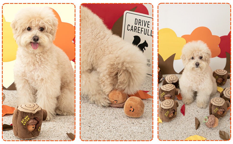 Nosework Dog Toy - Acorn - Bite Me - La Maison Mou