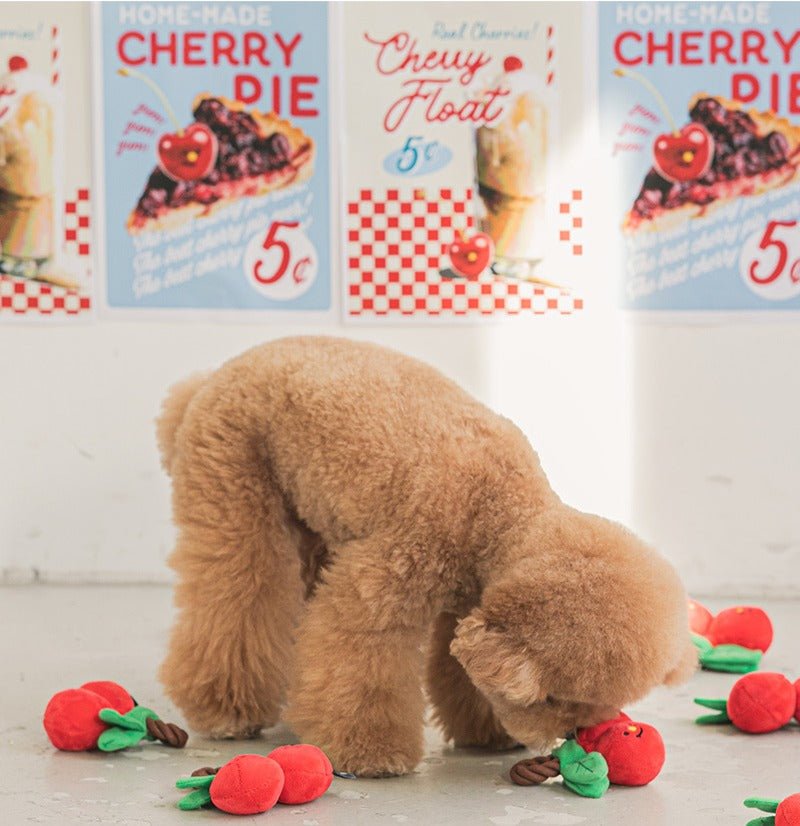 Nosework Dog Toy - Cherry Tug - Bite Me - La Maison Mou