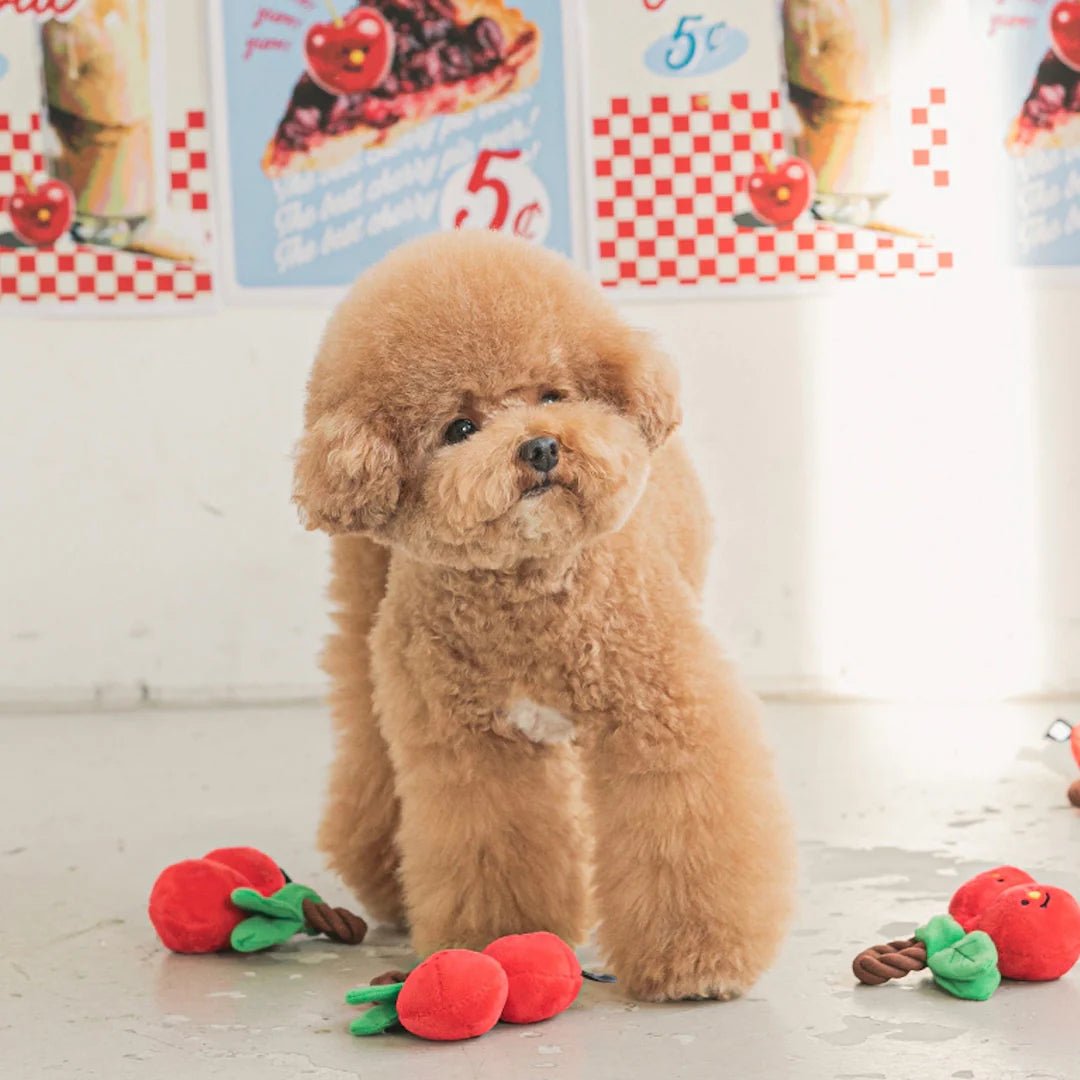 Nosework Dog Toy - Cherry Tug - Bite Me - La Maison Mou