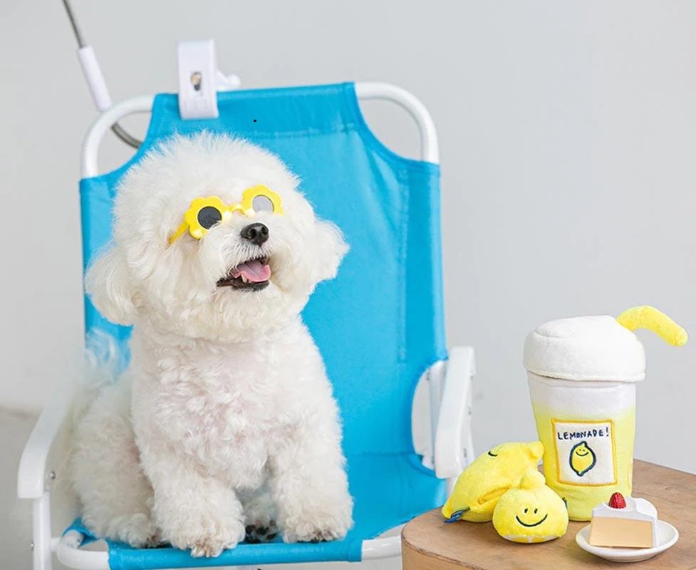 Nosework Doy Toy - Second Morning Lemonade - Bite Me - La Maison Mou