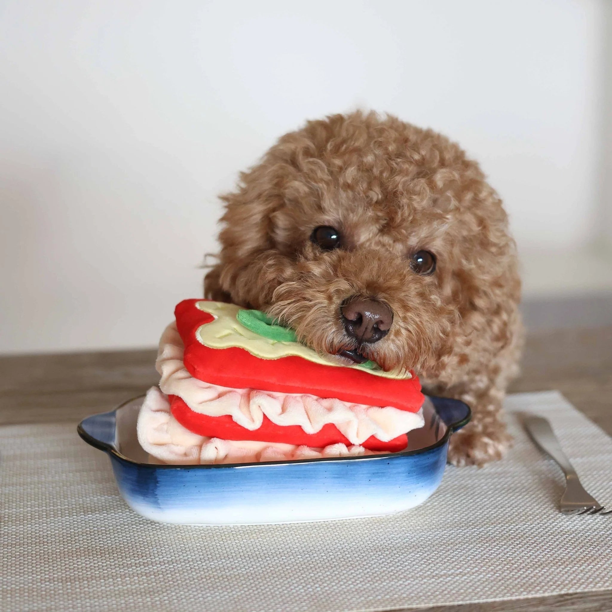 A fluffy brown poodle holding a plush dog toy with crinkle paper textures in its mouth.