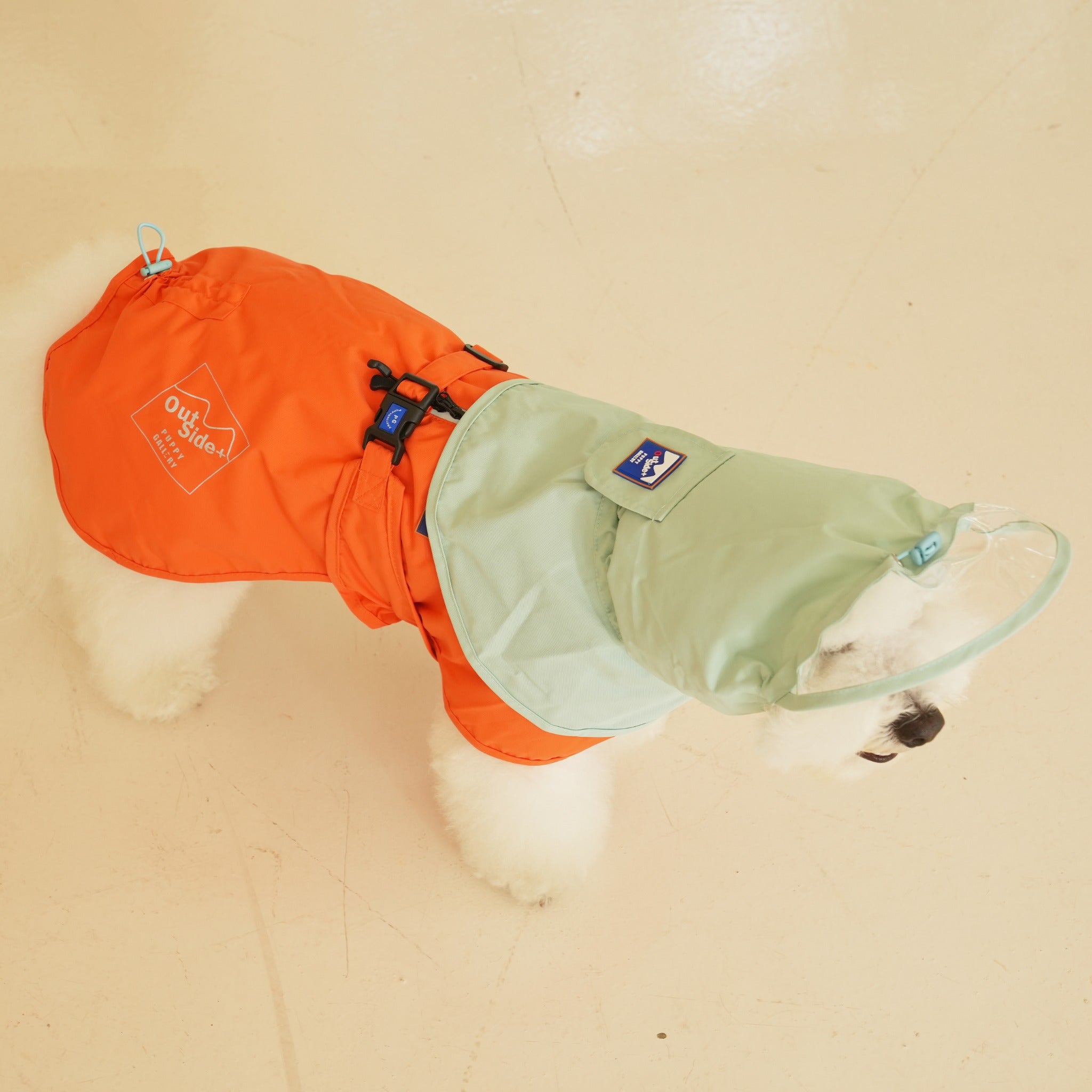 A top-down studio view of a white fluffy dog wearing the orange waterproof rain suit body and mint green detachable hood poncho extension.
