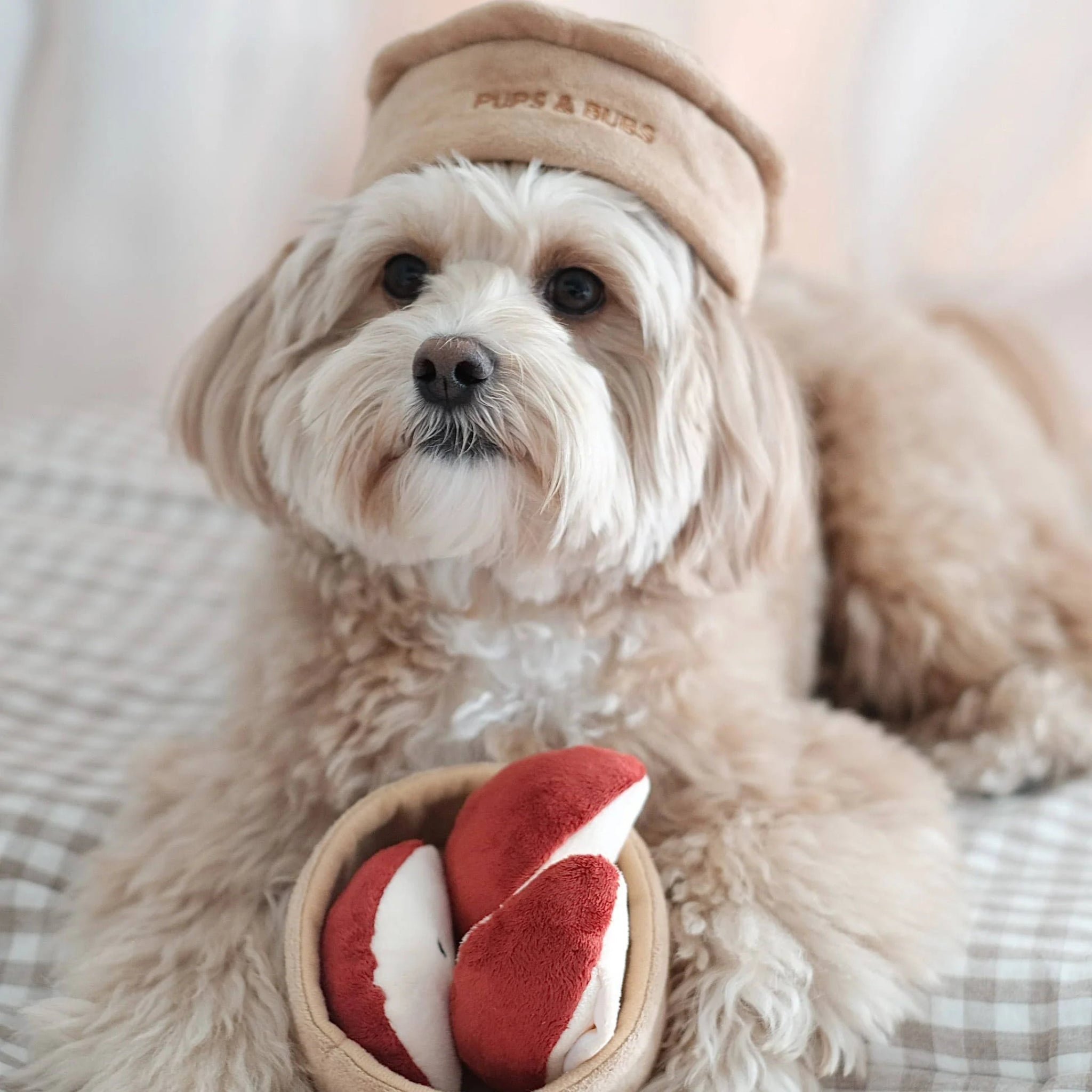 A cute blonde dog wearing the plush pie crust hat while posing behind the basket of apple slices from the Pups and Bubs interactive enrichment toy set.