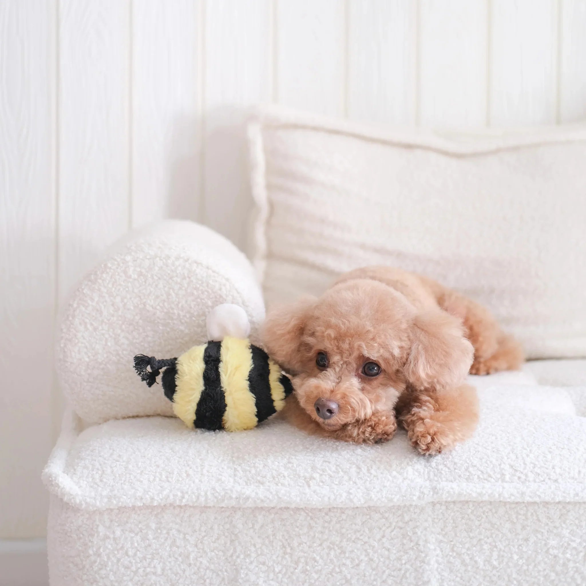 Durable Dog Toys - La Maison Mou