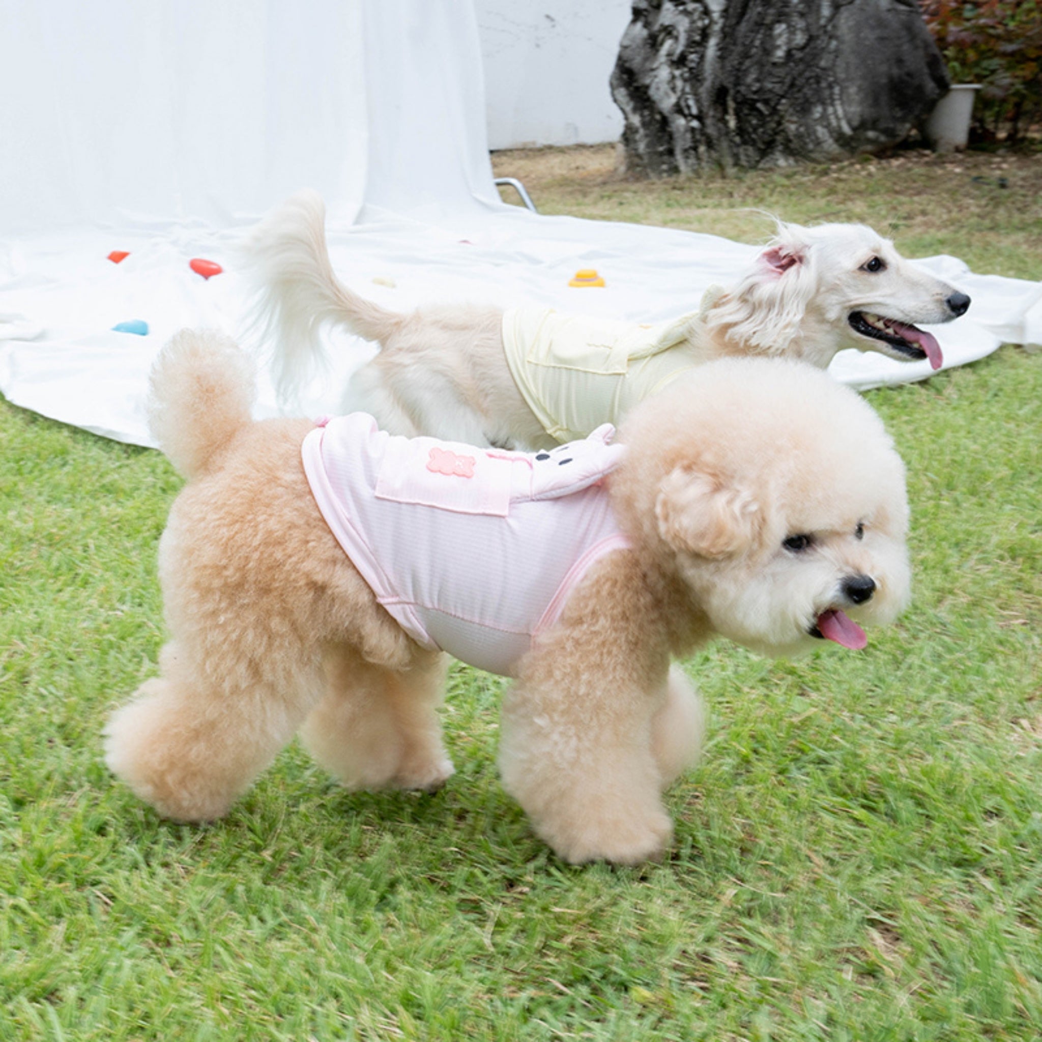 Dog Cooling Tank Top – Big Bear Baby Pink