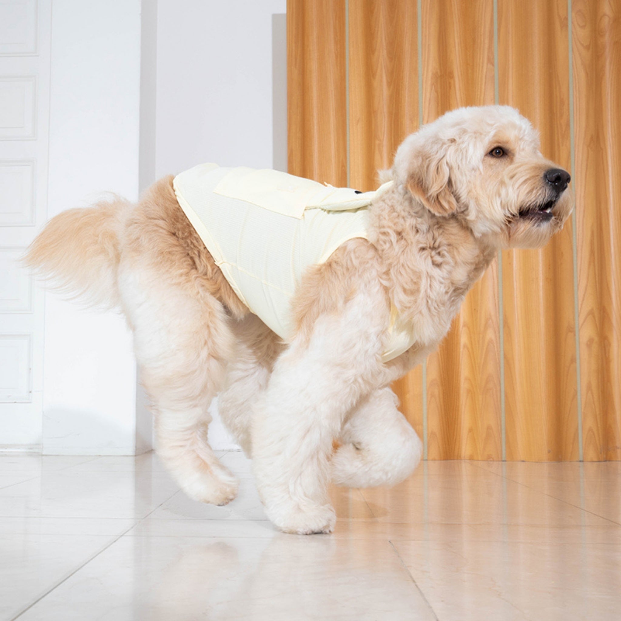 Dog Cooling Tank Top – Big Bear Lemonade