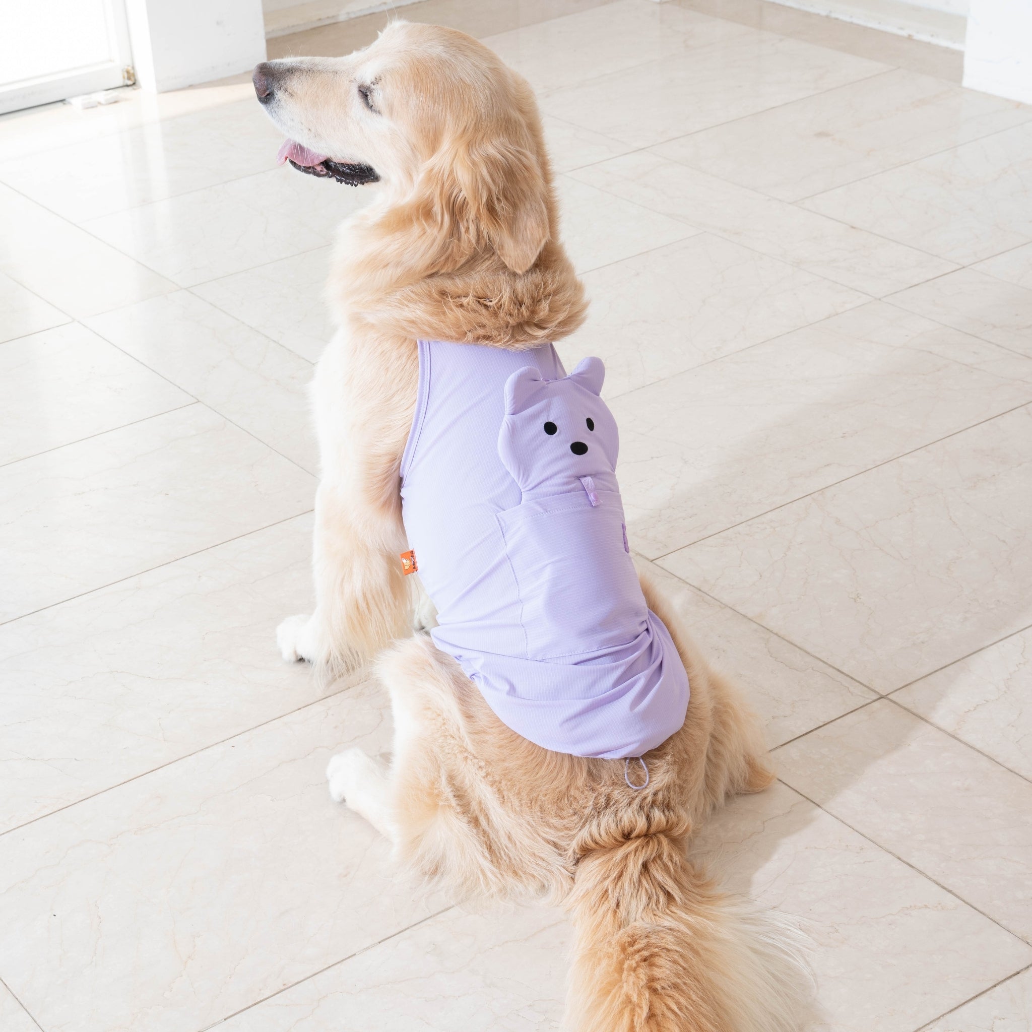 Dog Cooling Tank Top – Big Bear Lavender