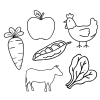 Illustrations of a carrot, apple, chicken, peas, and sheep on a white background