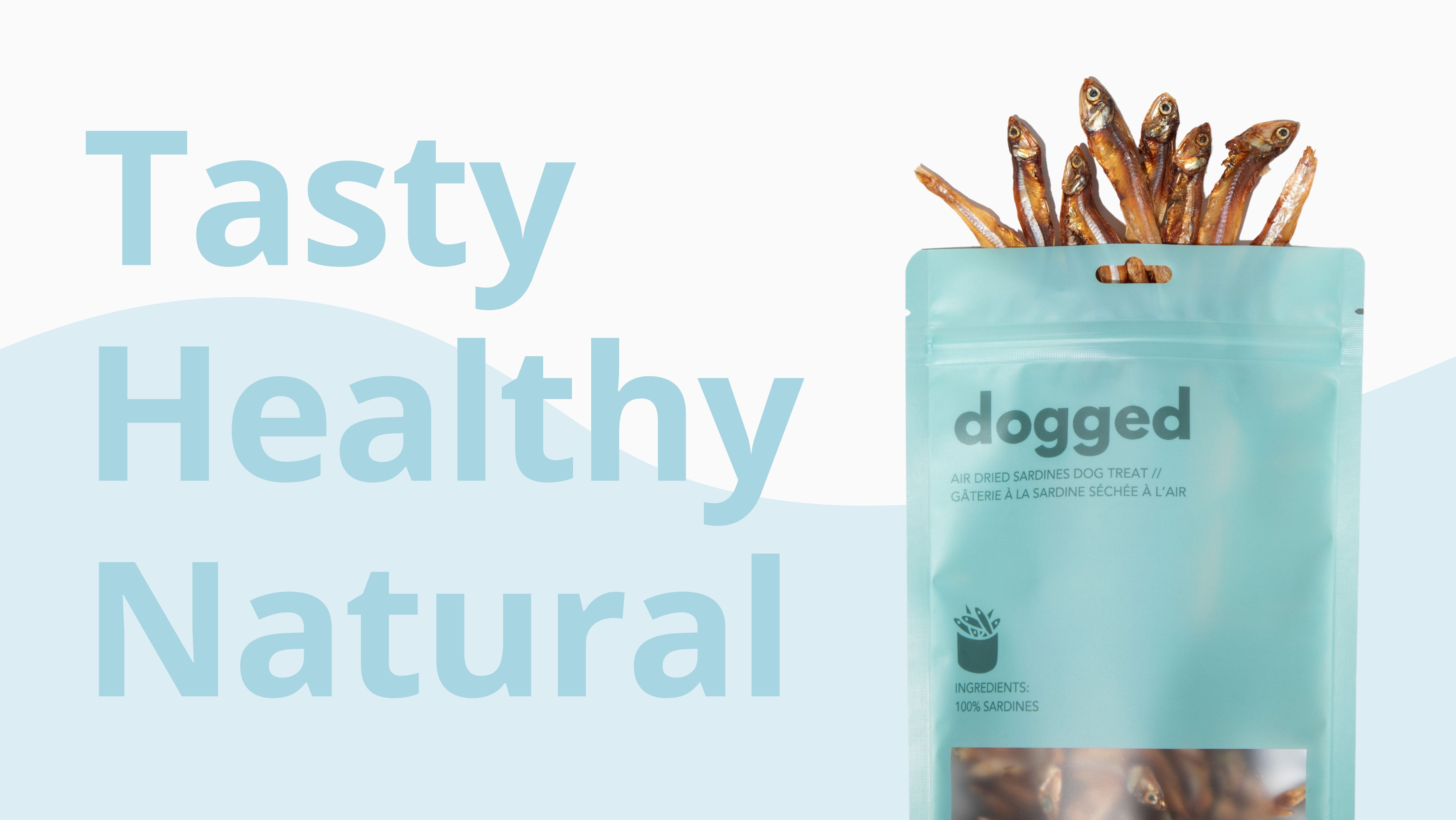 Dog treats in a blue bag with 'dogged' branding on a light blue background.