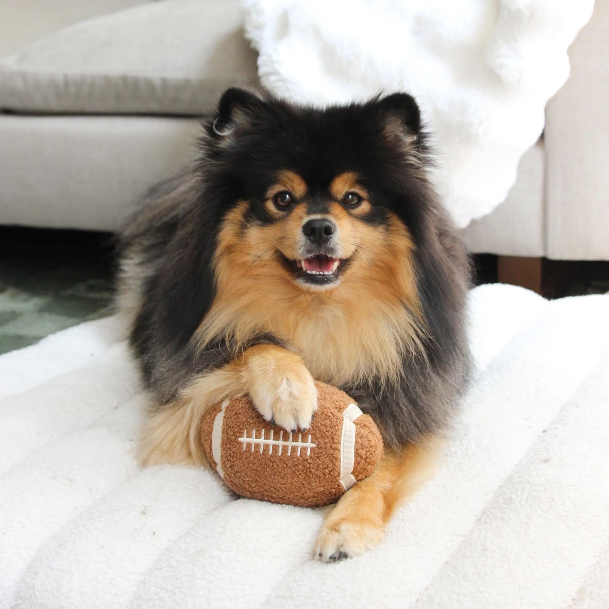 Dog playing with the Lambwolf Collective Football plush squeaky dog toy