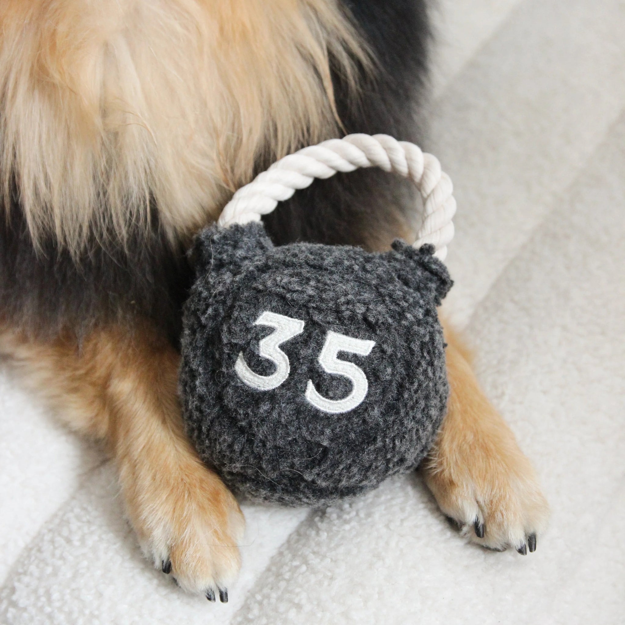 Dog with Lambwolf Collective Kettlebell plush toy between its paws