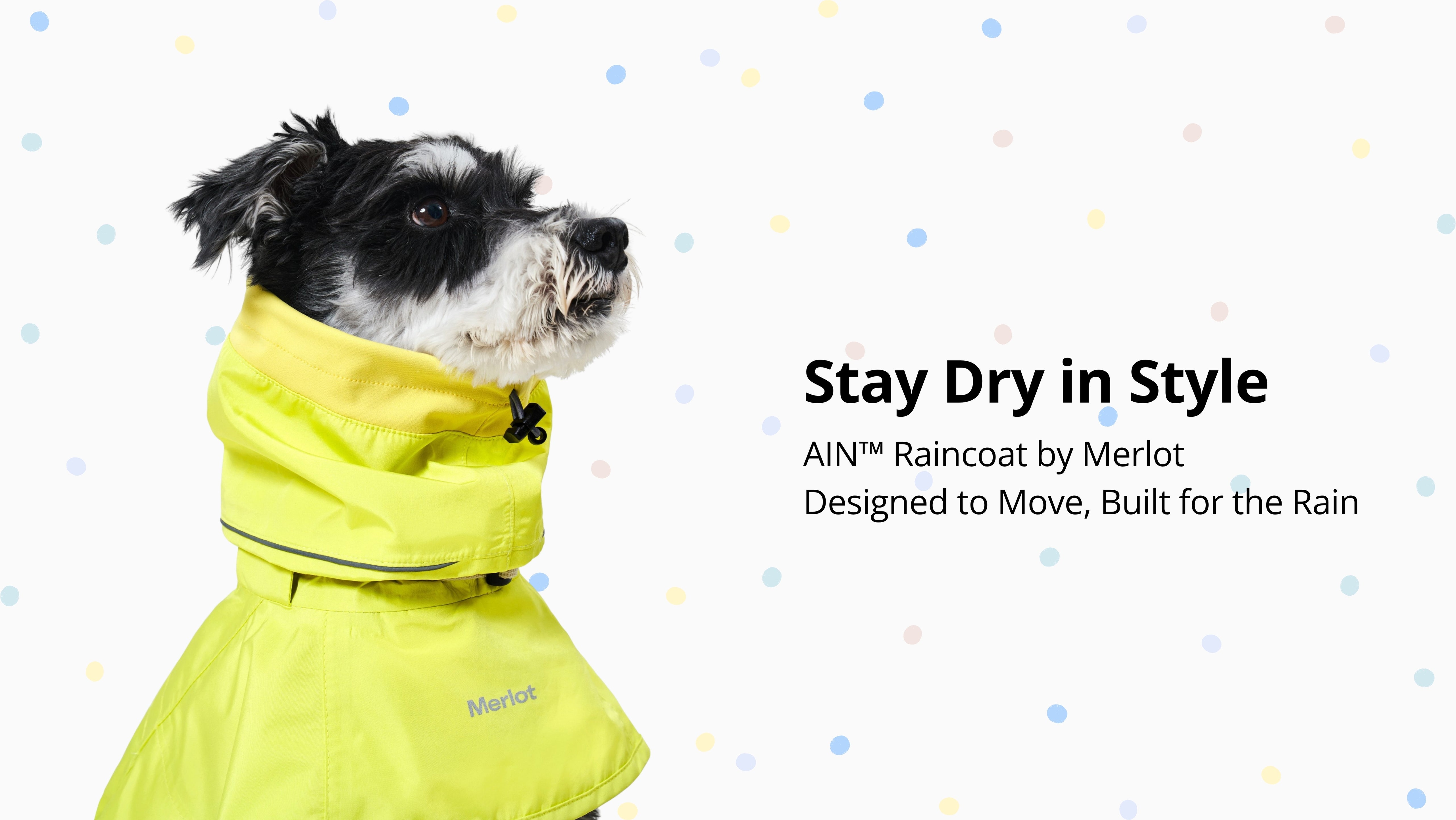 Dog wearing a yellow raincoat with 'Merlot' branding on a light background