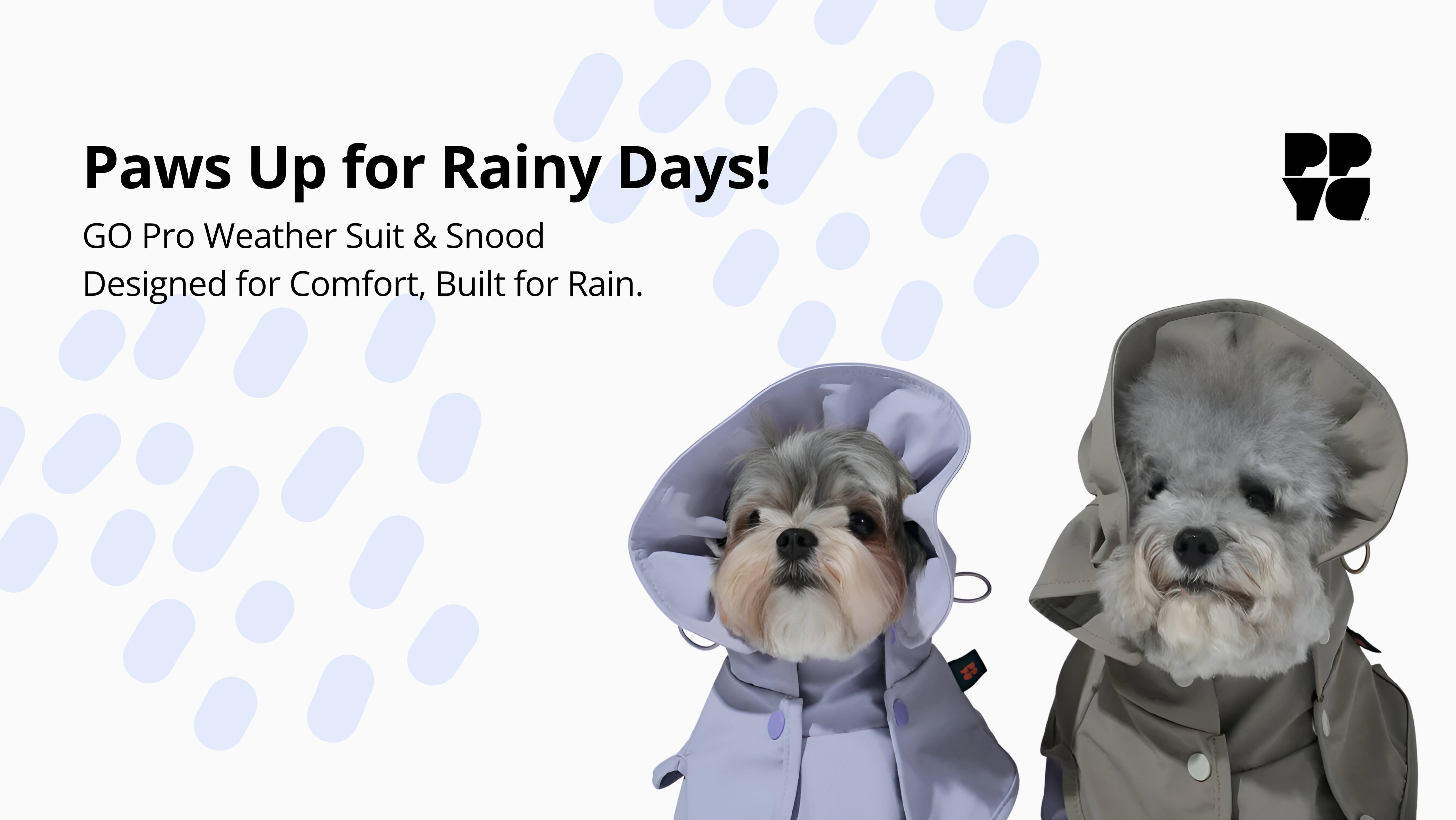 Two dogs wearing raincoats with text 'Paws Up for Rainy Days!' Puppy Gallery