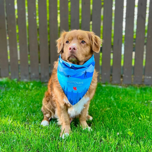Dog Bandana - Kootenay