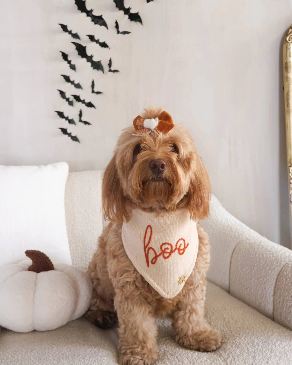 Dog Bandana - The Casper Boo - The Deluxe Pup - La Maison Mou
