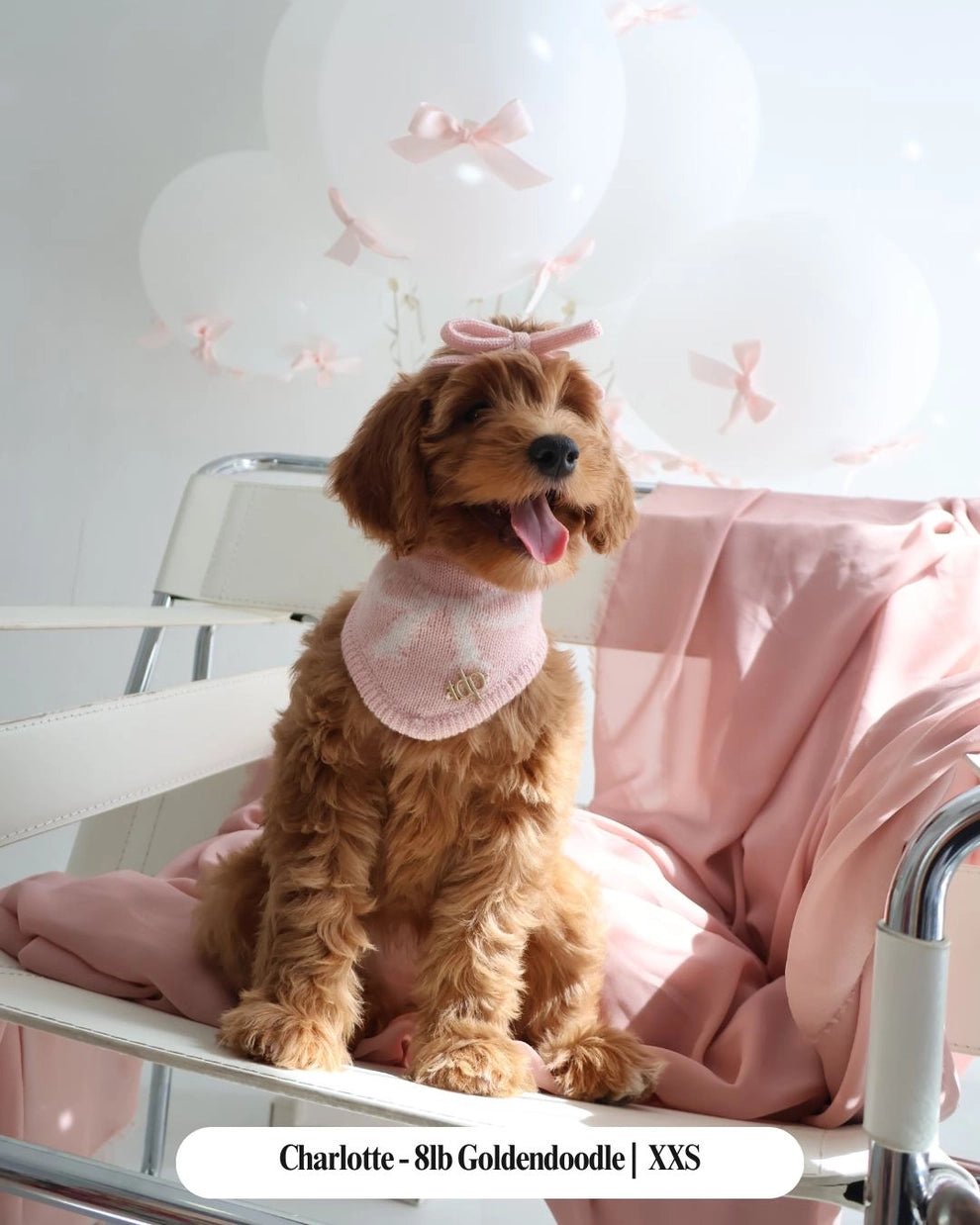 Dog Bandana - The Forever Tied Blush - The Deluxe Pup - La Maison Mou