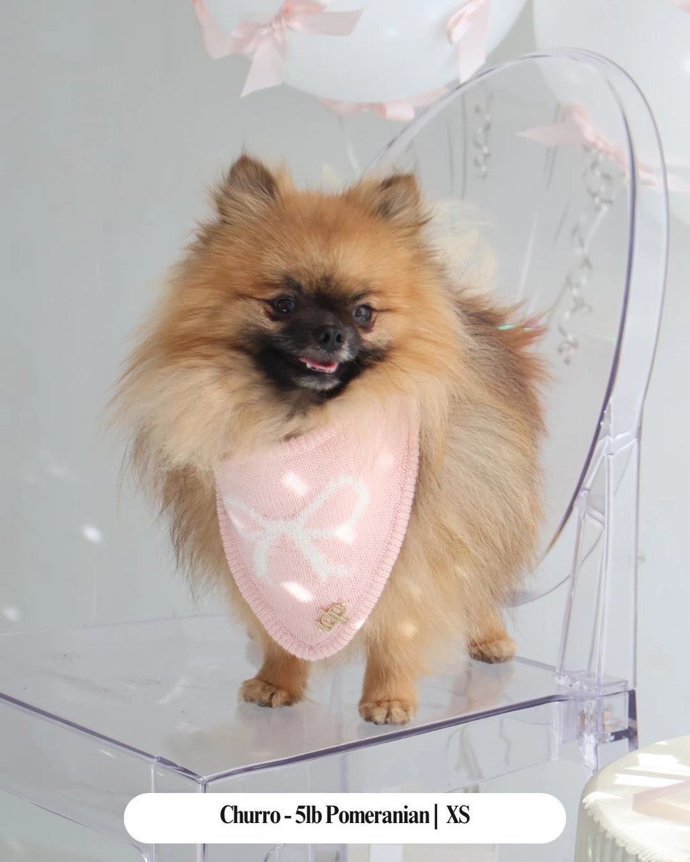 Dog Bandana - The Forever Tied Blush - The Deluxe Pup - La Maison Mou