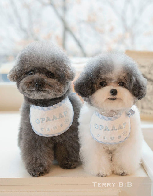Dog Bib - Terry Blue & White
