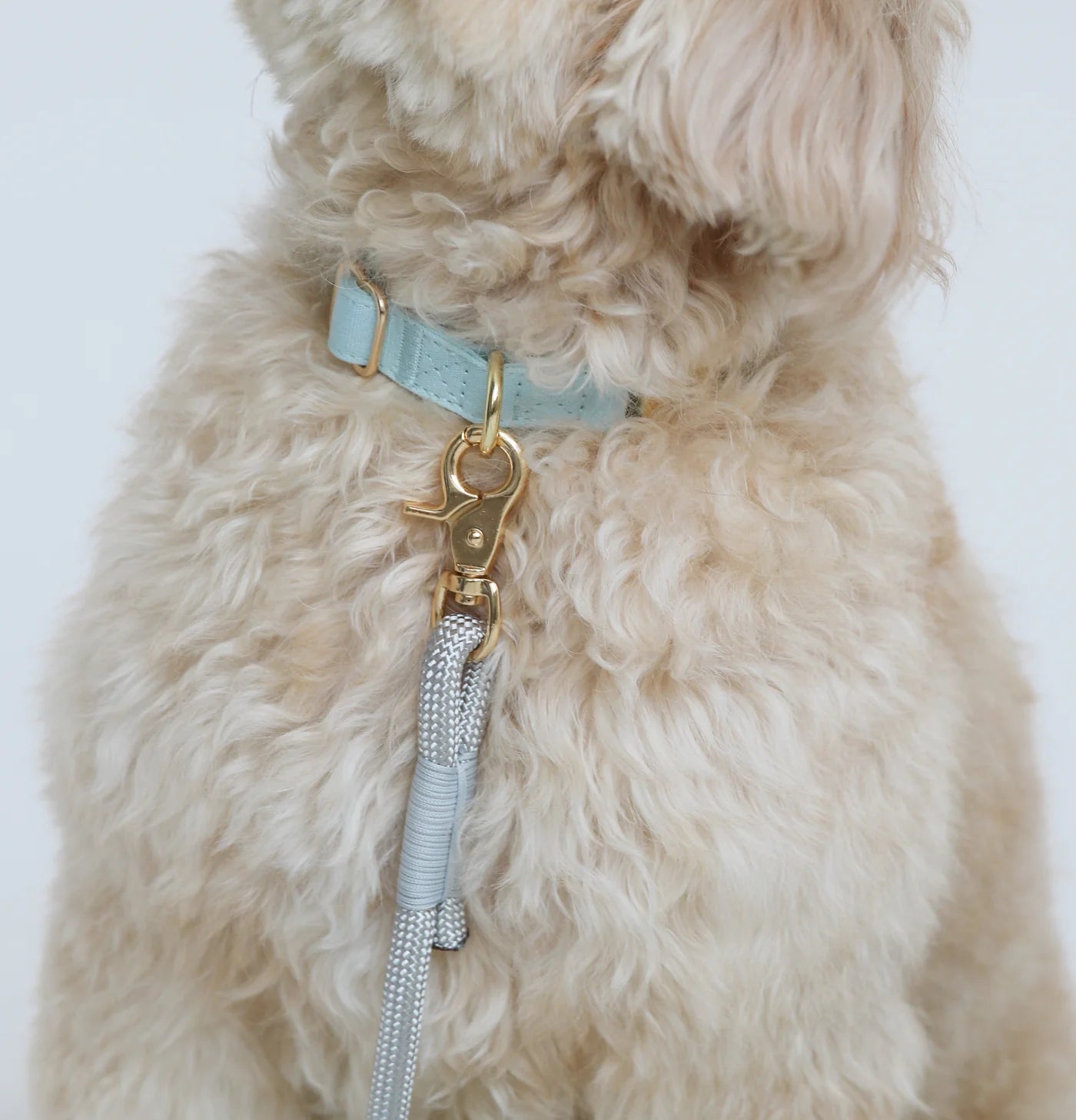 Dog Collar - Baby Blue - Furlou - La Maison Mou