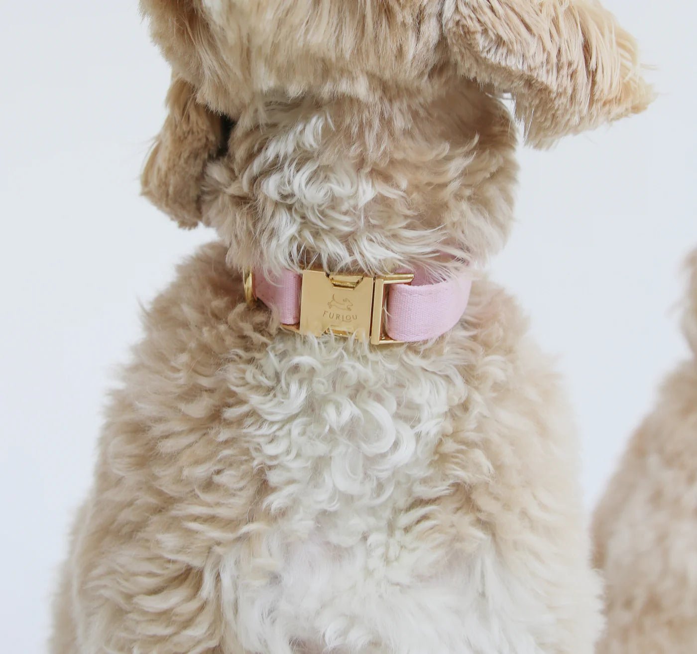 Dog Collar - Pastel Pink - Furlou - La Maison Mou
