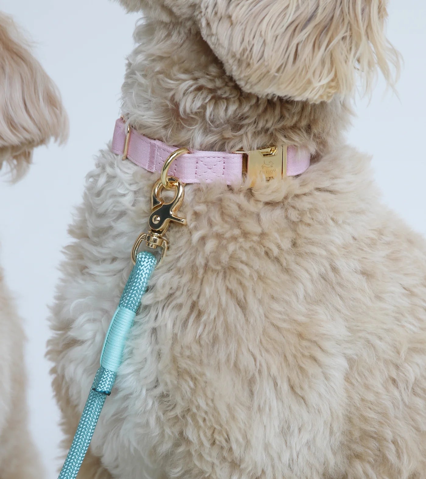 Dog Collar - Pastel Pink - Furlou - La Maison Mou