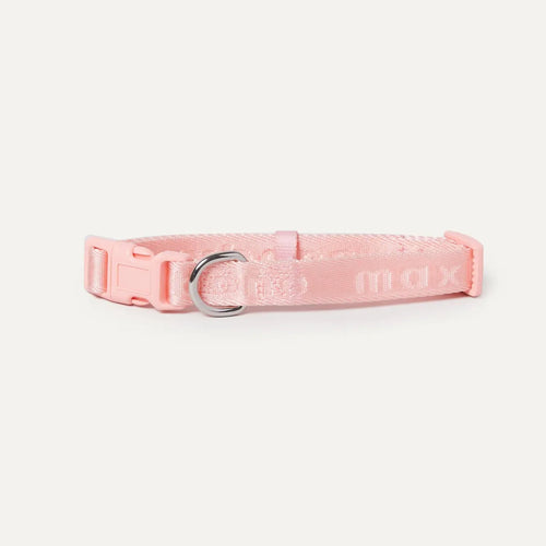 Dog Collar - Signature Peach
