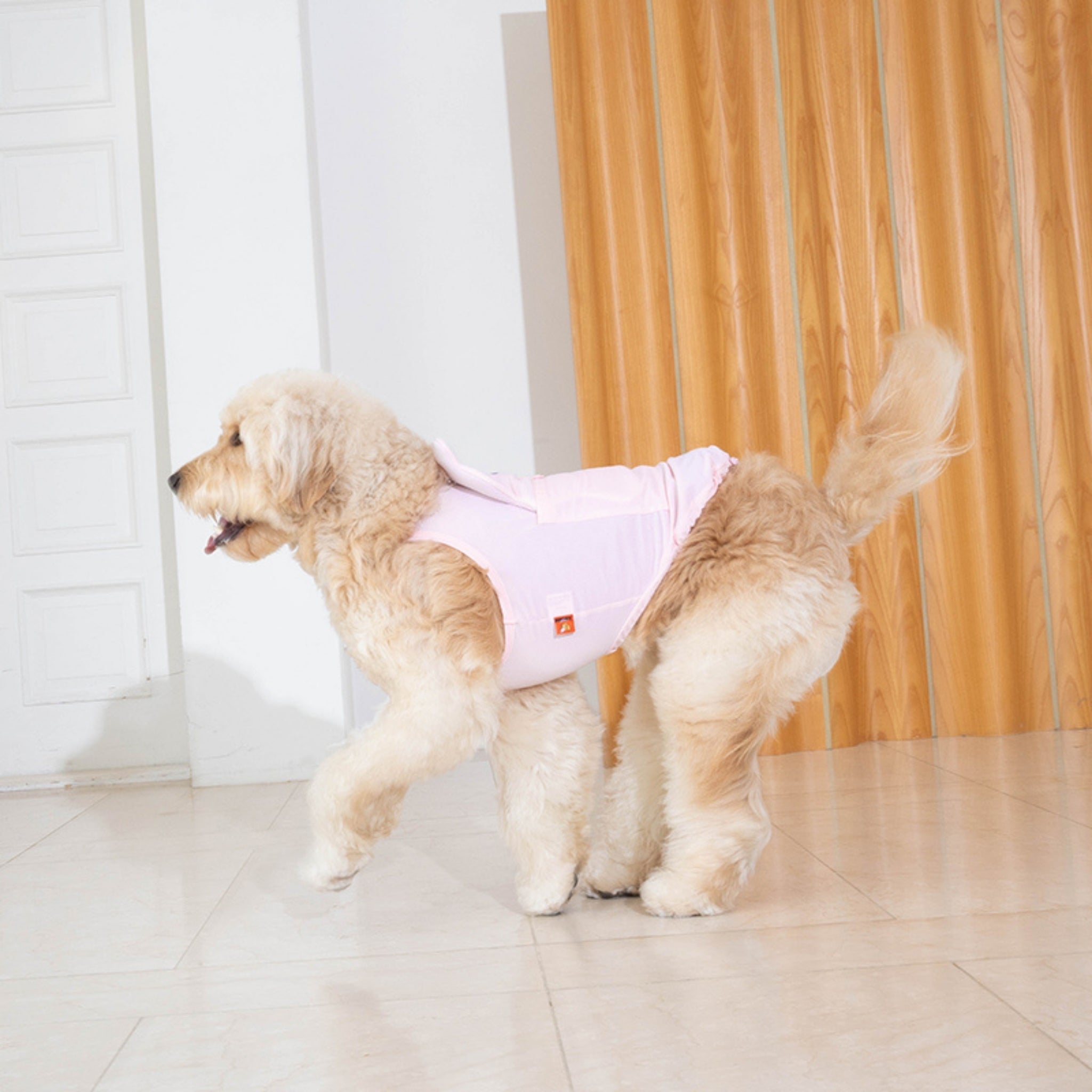 Dog Cooling Tank Top – Big Bear Baby Pink - Puppy Gallery - La Maison Mou
