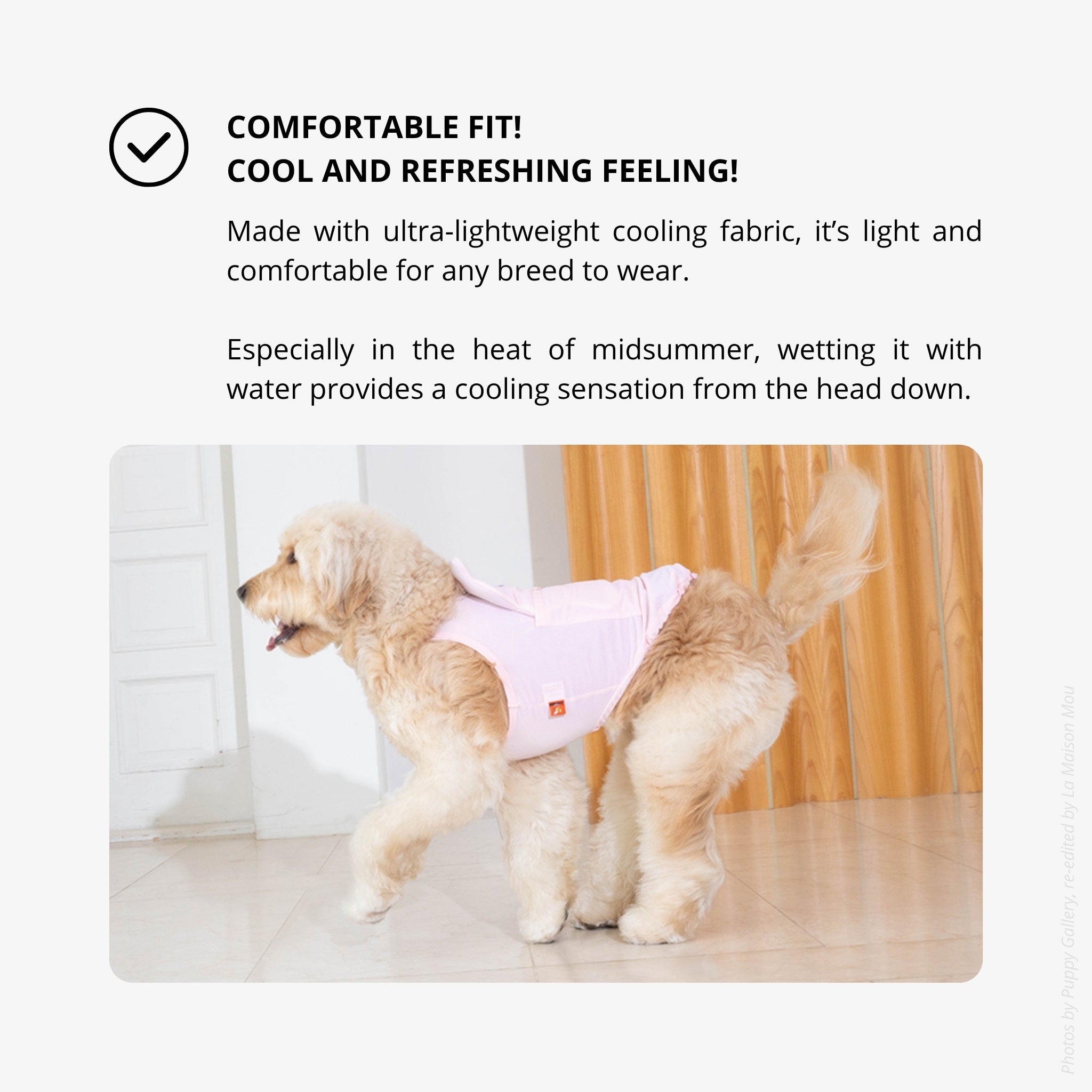 Dog Cooling Tank Top – Big Bear Blue - Puppy Gallery - La Maison Mou