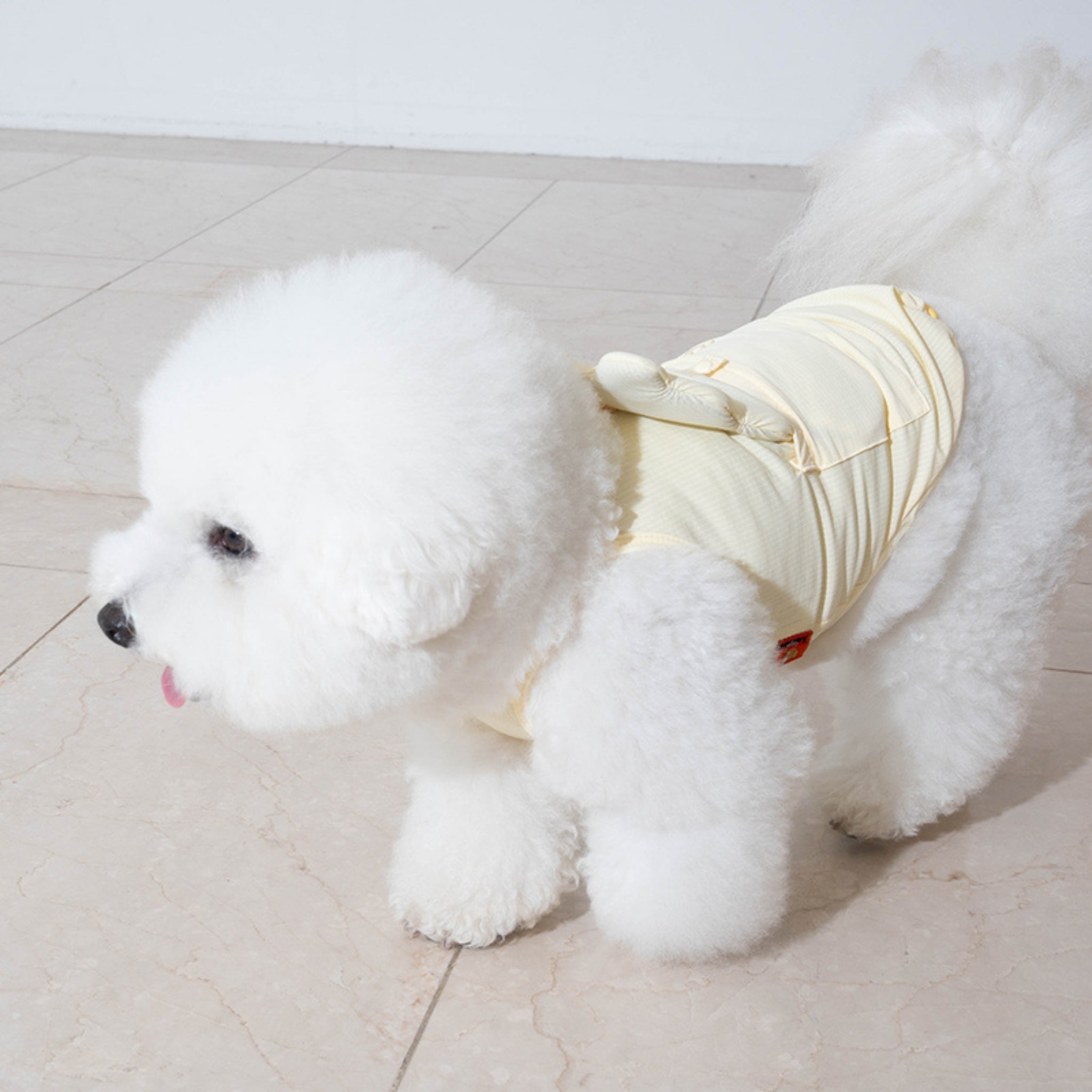 Dog Cooling Tank Top – Big Bear Lemonade - Puppy Gallery - La Maison Mou