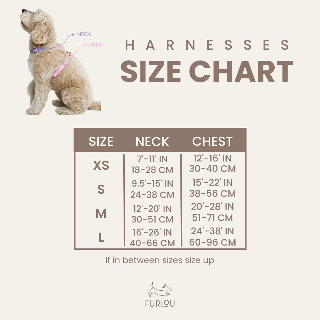 Dog Harness - Rainbow - Furlou - La Maison Mou