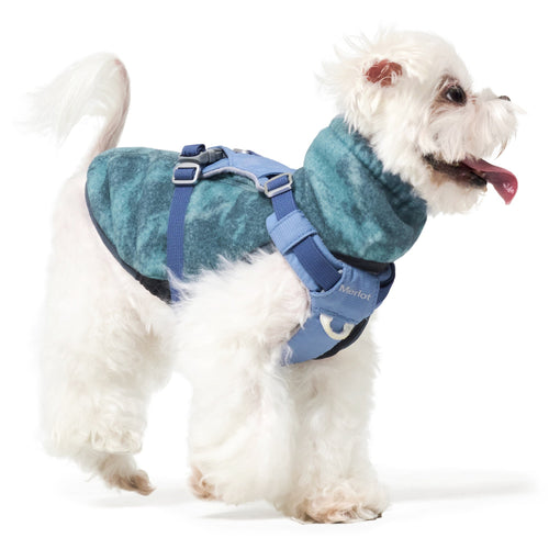 Dog Jacket – Shelter™ Jacket Forest