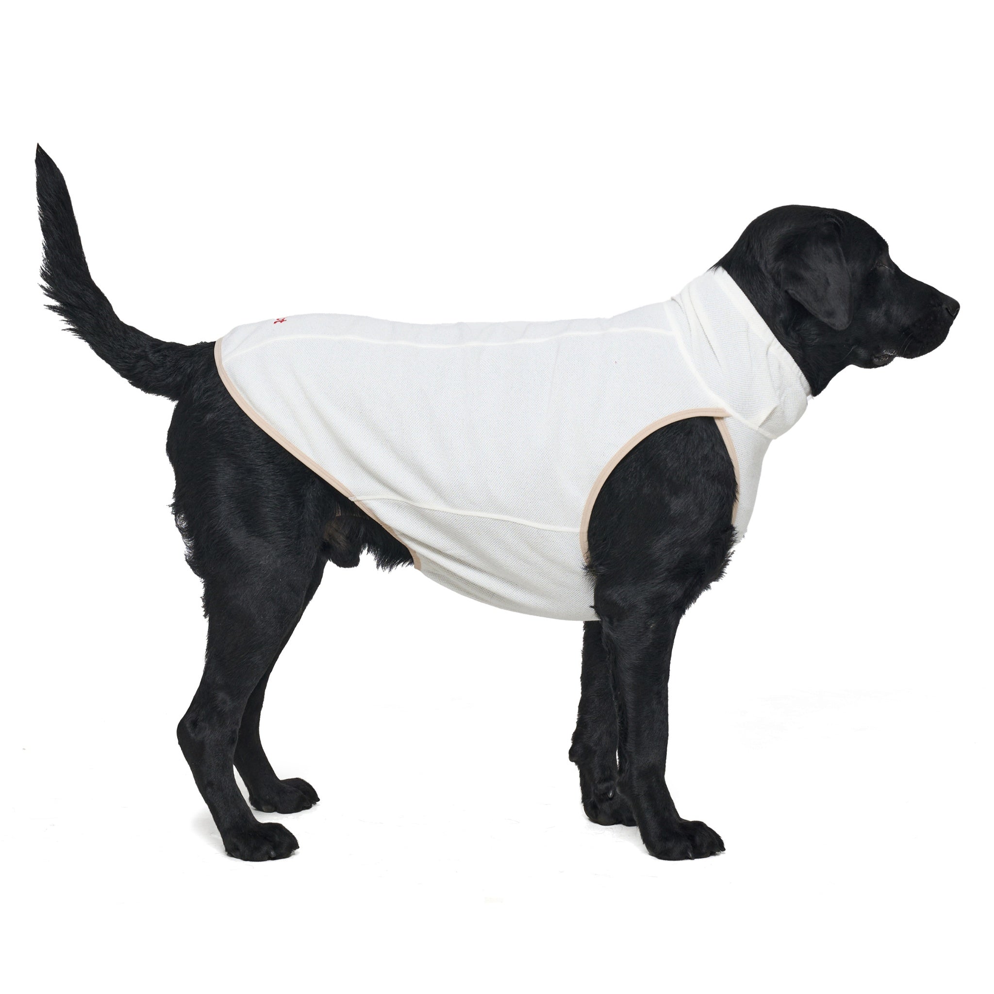 Dog Jacket – Shelter™ Layer Ivory | Merlot - Merlot - La Maison Mou