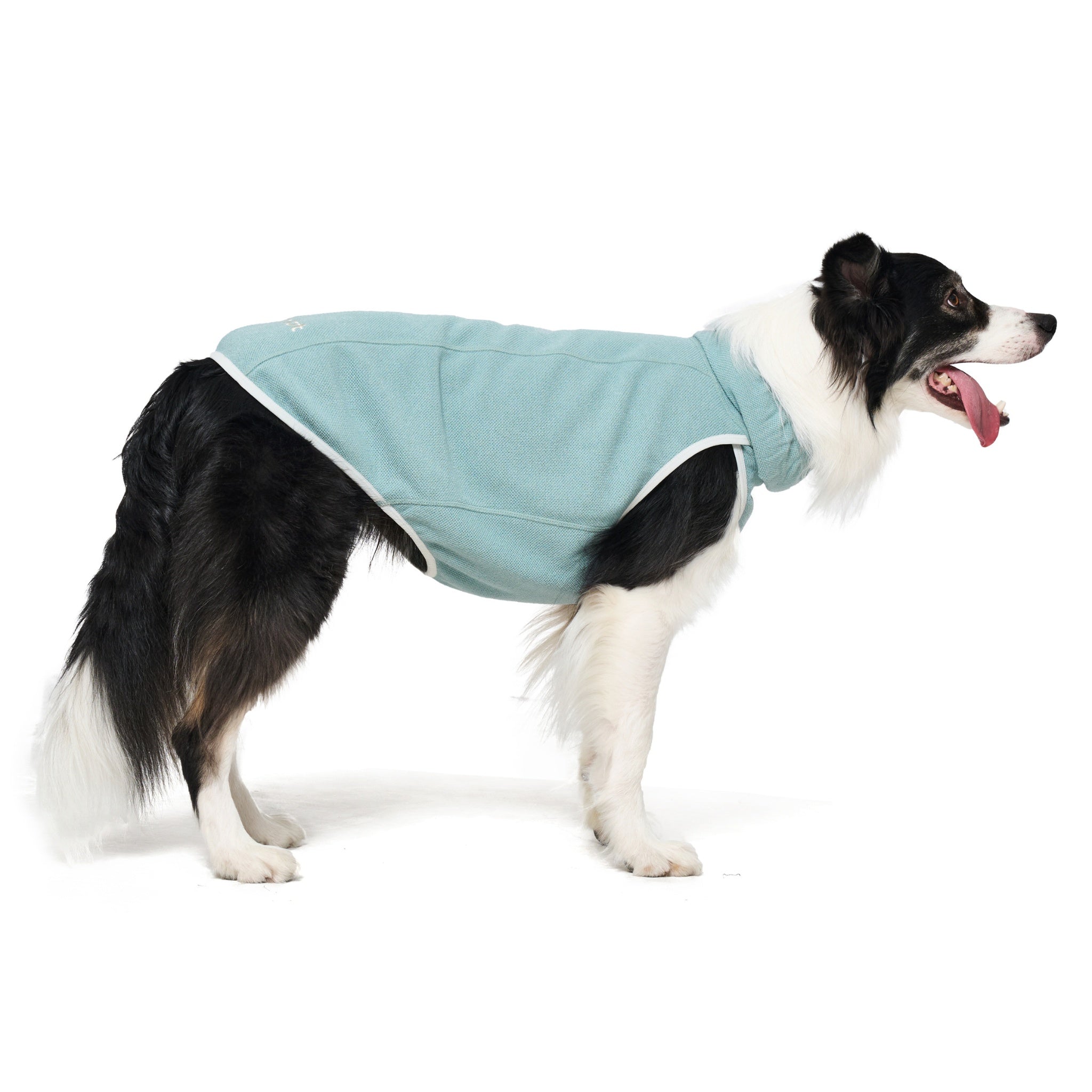 Dog Jacket – Shelter™ Layer Mint - Merlot - La Maison Mou