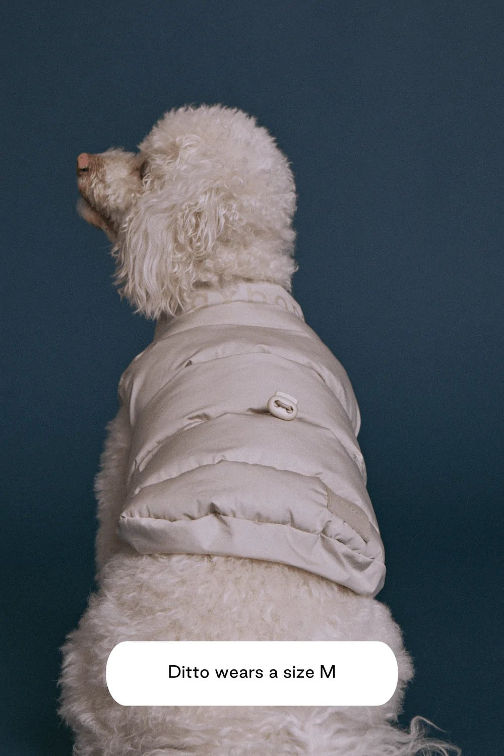Dog Jacket - Sub - Zero Puffer Beige - Maxbone - La Maison Mou